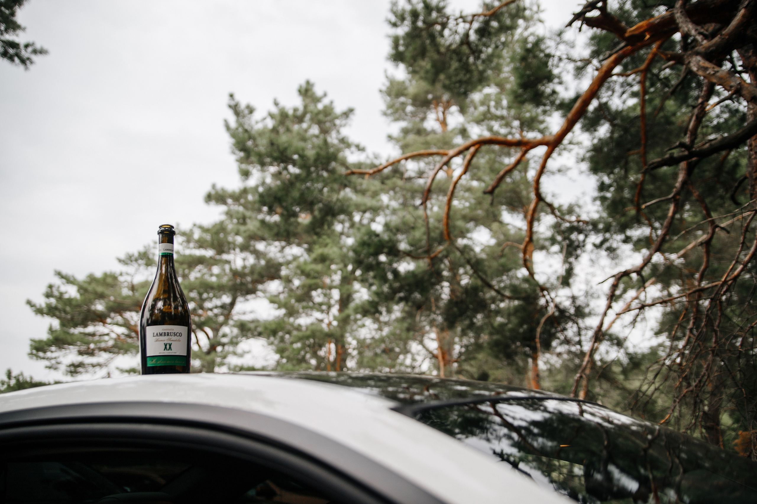 Кирилл ♥ Валерия. Свадебный и семейный фотограф в городе Воронеж. Ирина Боловина