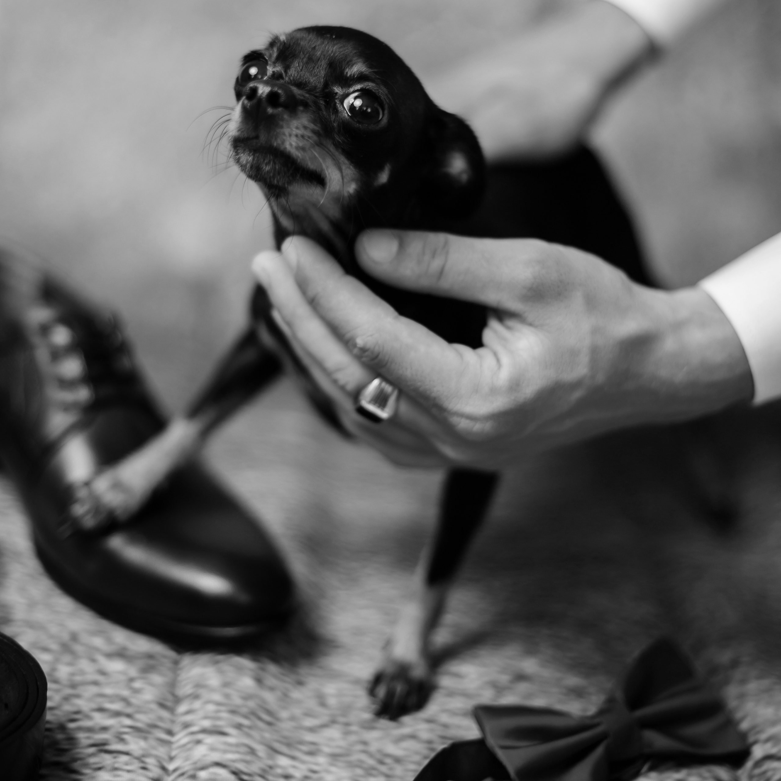 Денис ♥ Надежда. Свадебный и семейный фотограф в городе Воронеж. Ирина Боловина