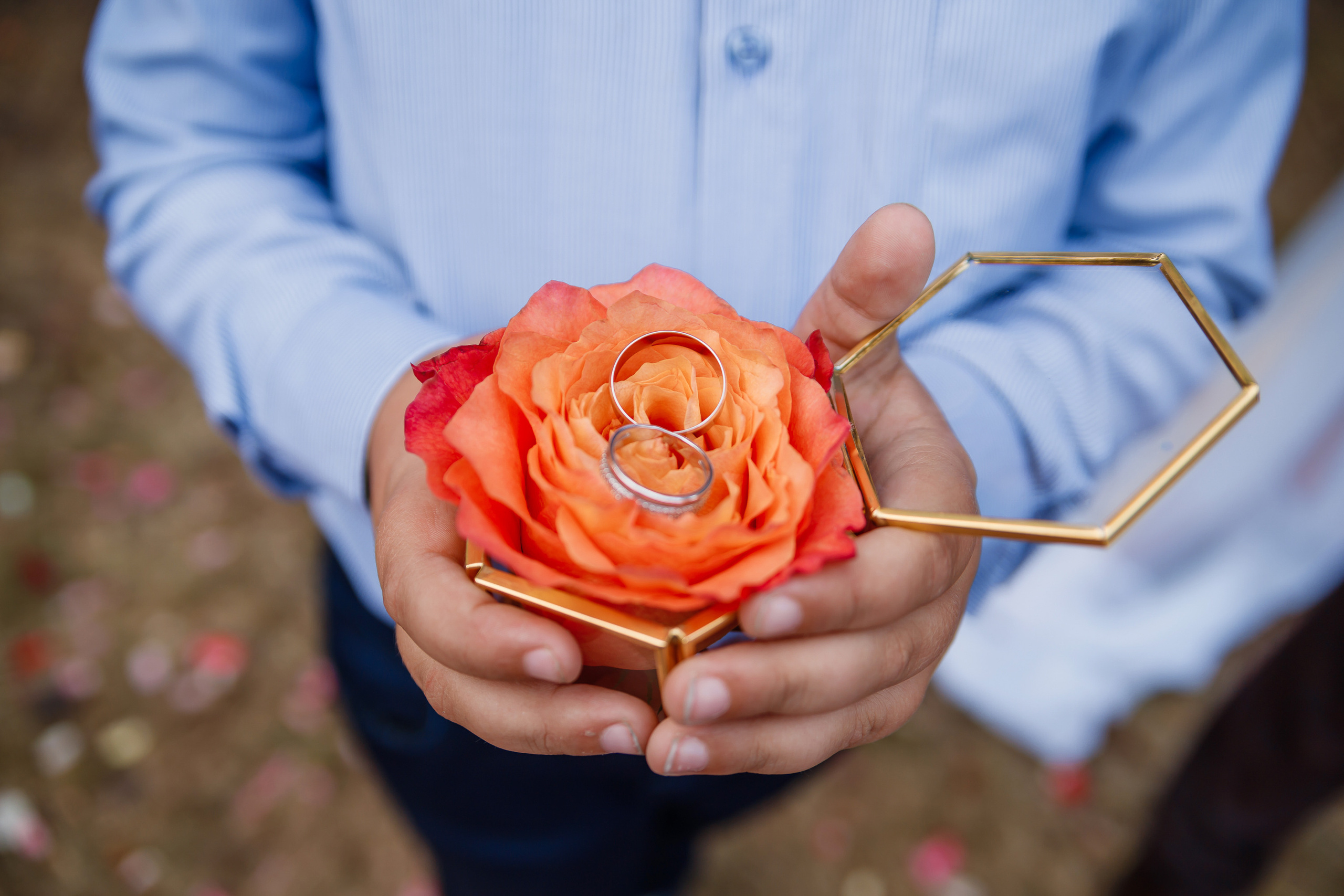 Игорь ♥ Ирина. Свадебный и семейный фотограф в городе Воронеж. Ирина Боловина
