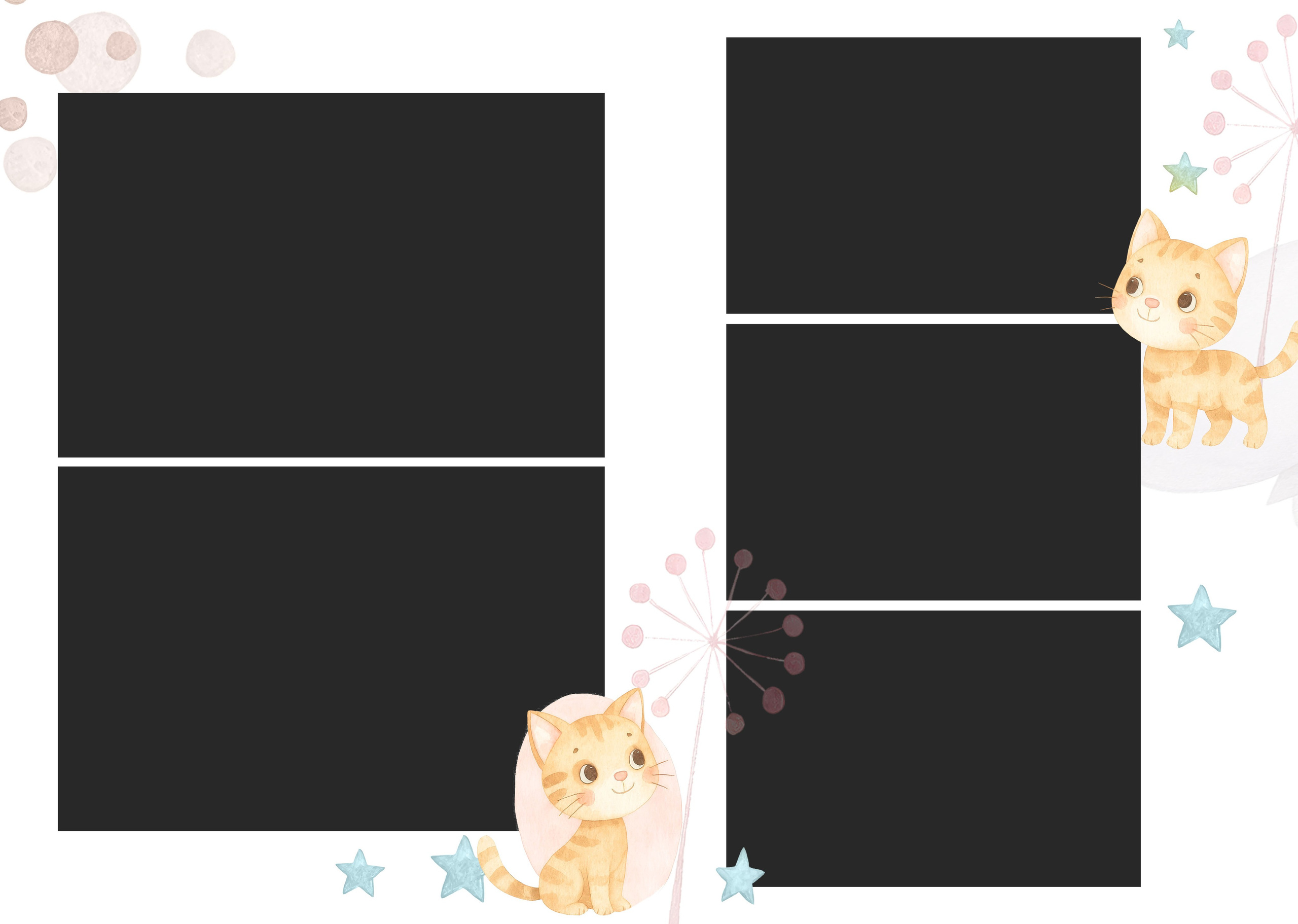 Котики. Семейный и детский фотограф в Слониме Беларусь Вероника Грипич