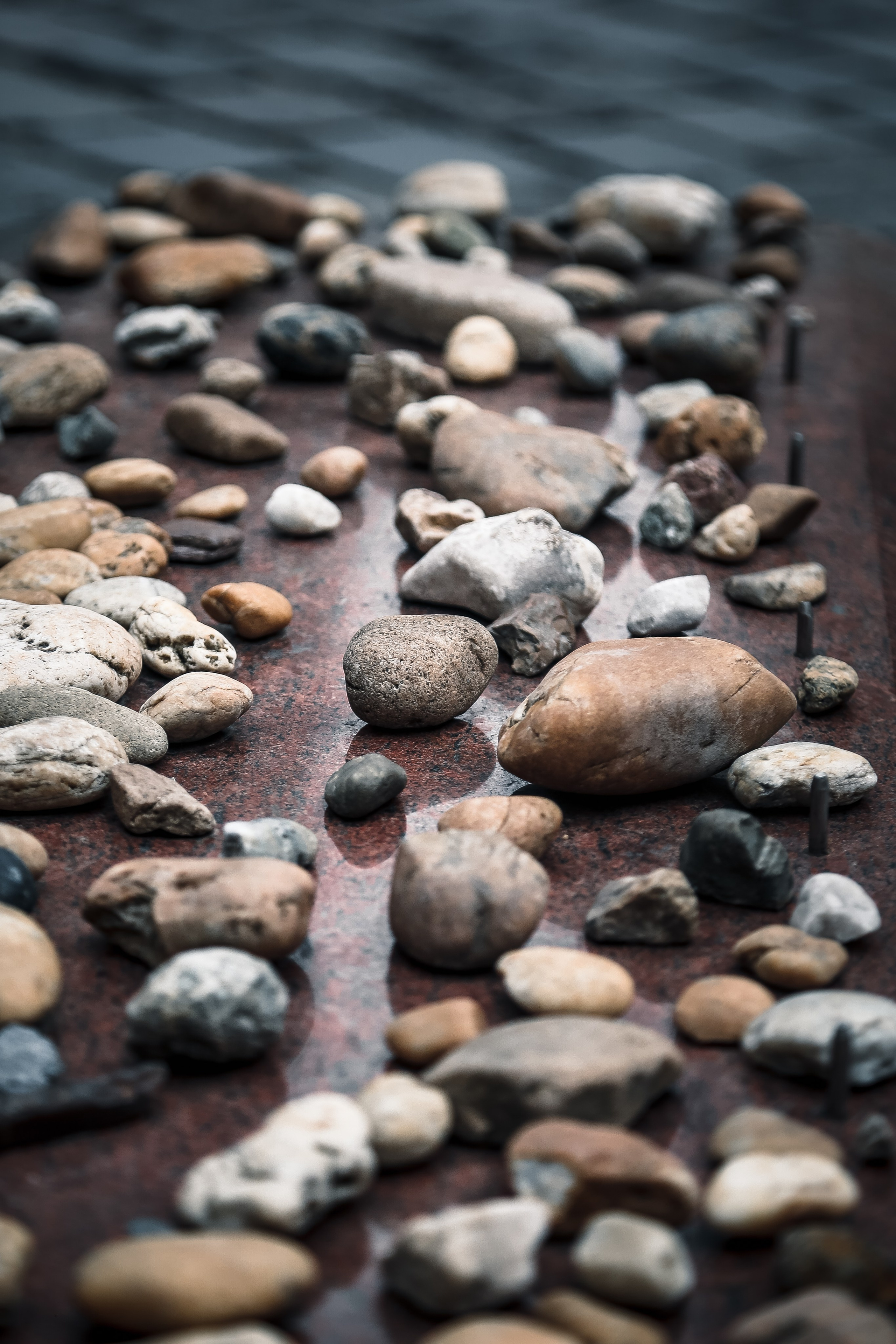 Венгрия: Еврейский Будапешт. Дарья Письменюк / Darya Leitstern — фотограф, музыкант, журналист, путешественник