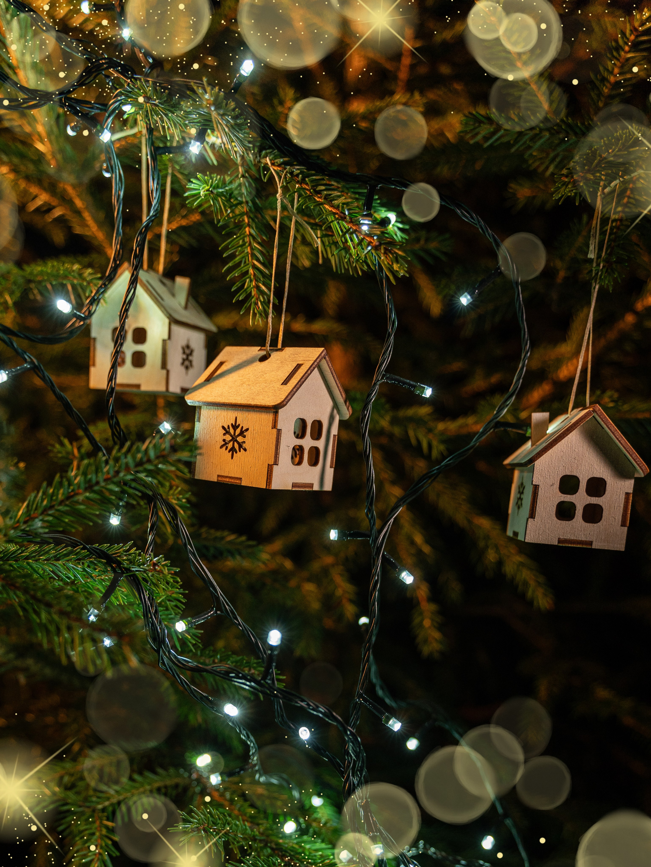 Предметная и каталожная съемка портфолио (фото)