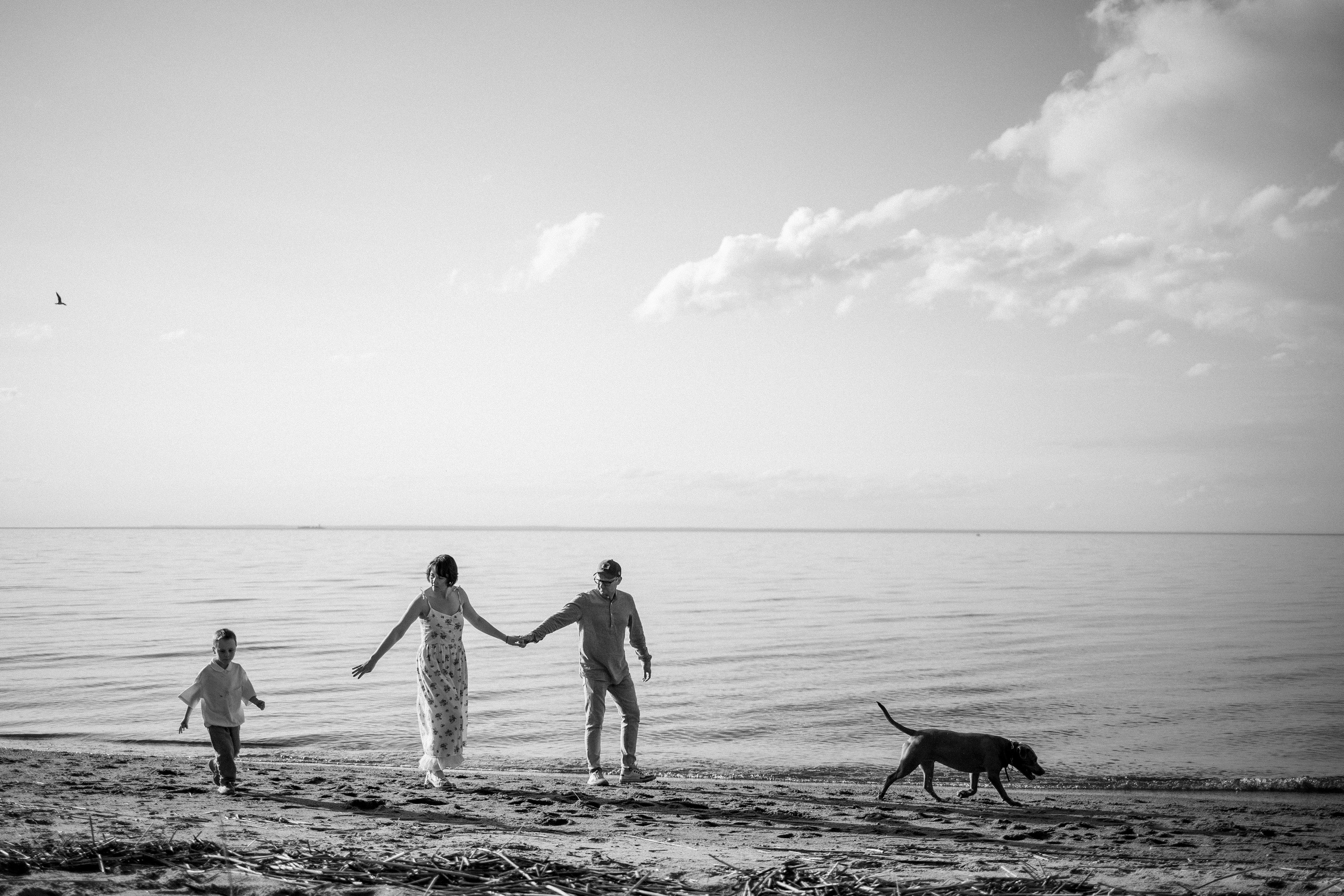 Бонни и ее семья. Фотограф — Анималист | Санкт-Петербург