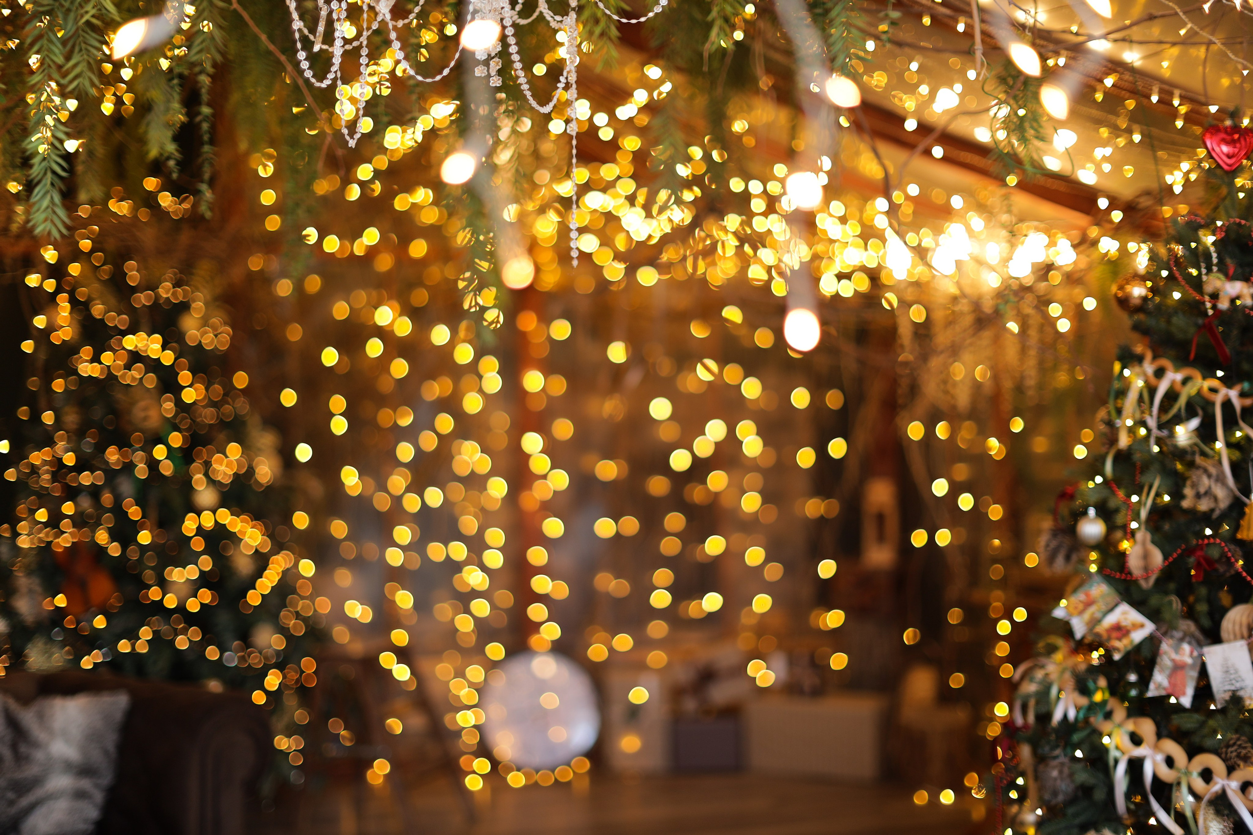 Фотостудия «Роял» зал Теплица. Свадебный фотограф в Ростове Александра Груздева