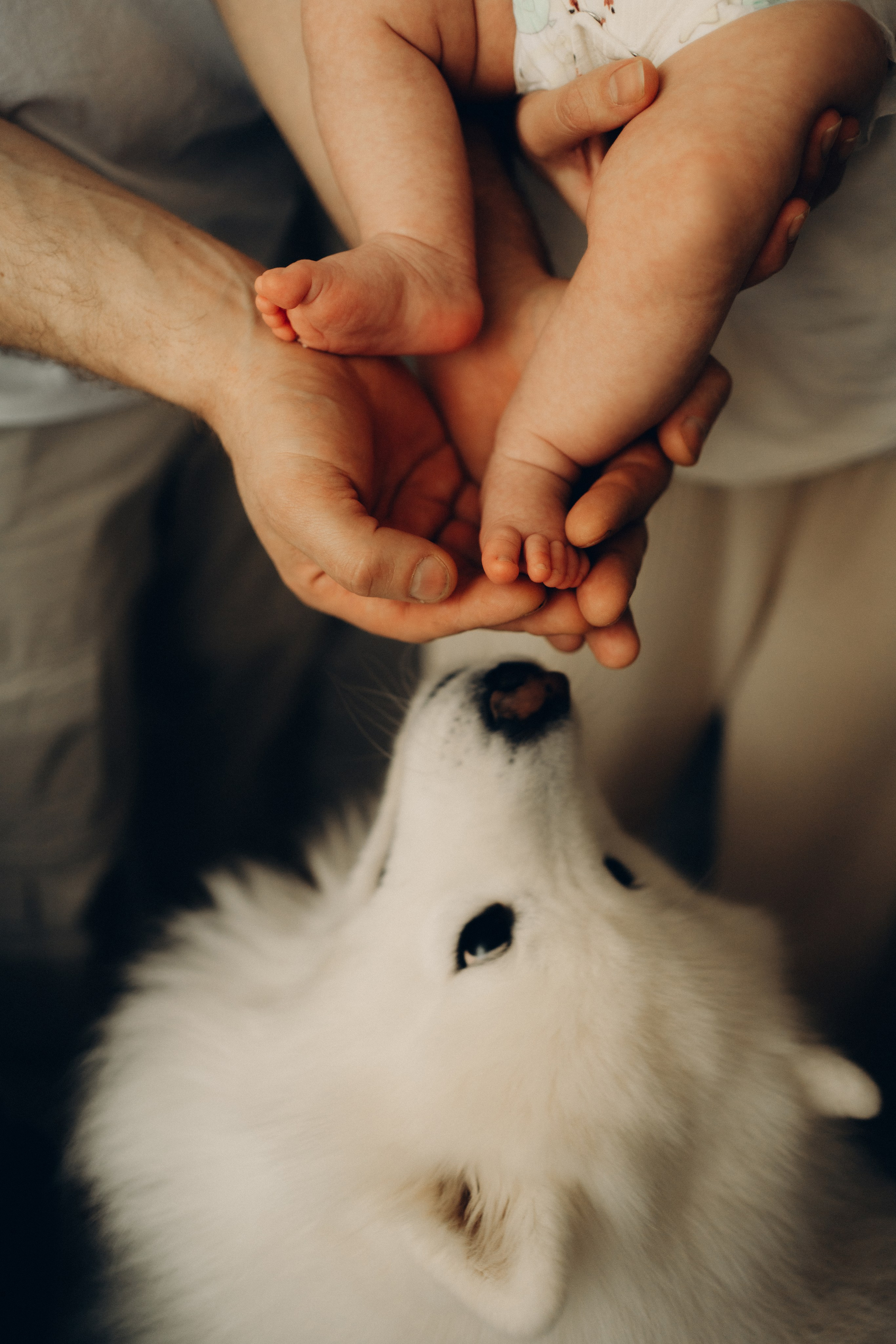 Настя, Антон, Яроша, Агата и Цезарь. Фотограф в Минске — Мария Миллс