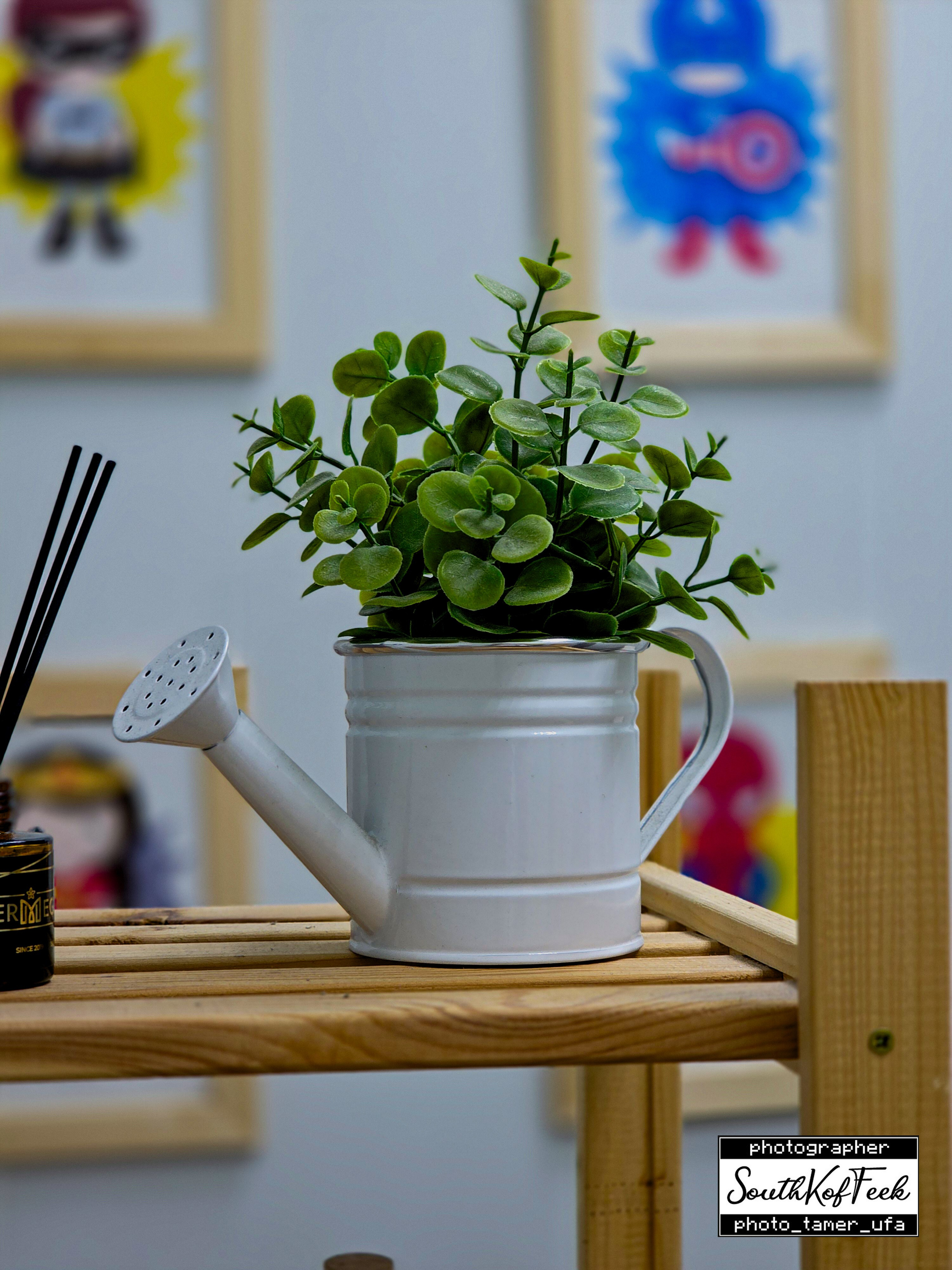 Цветы?. Photo Tamer Ufa