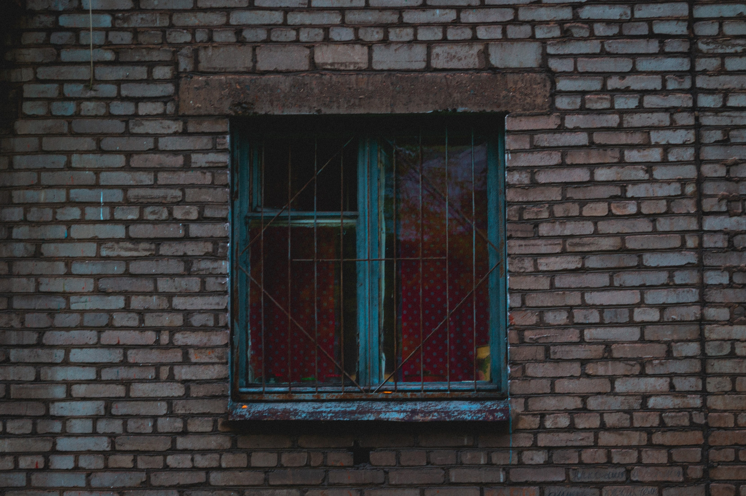 Октябрь 2025. Den Mirov — Фотограф, Музыкант