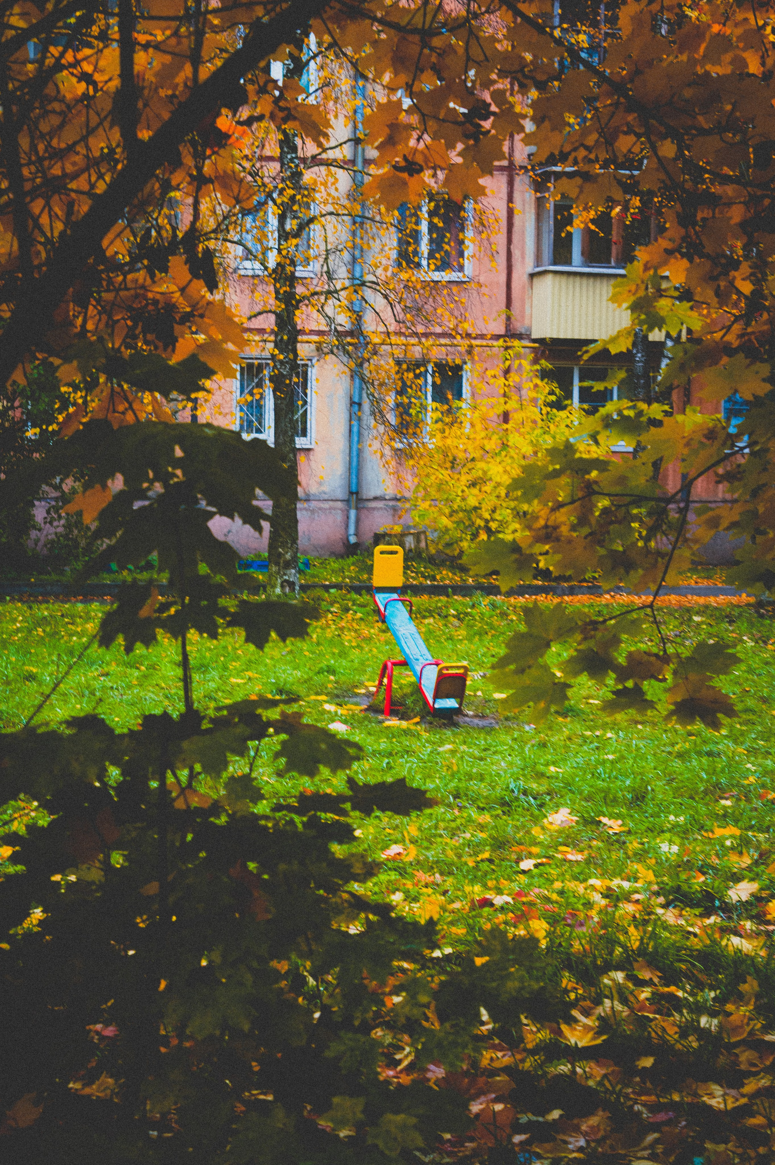 Октябрь 2025. Den Mirov — Фотограф, Музыкант