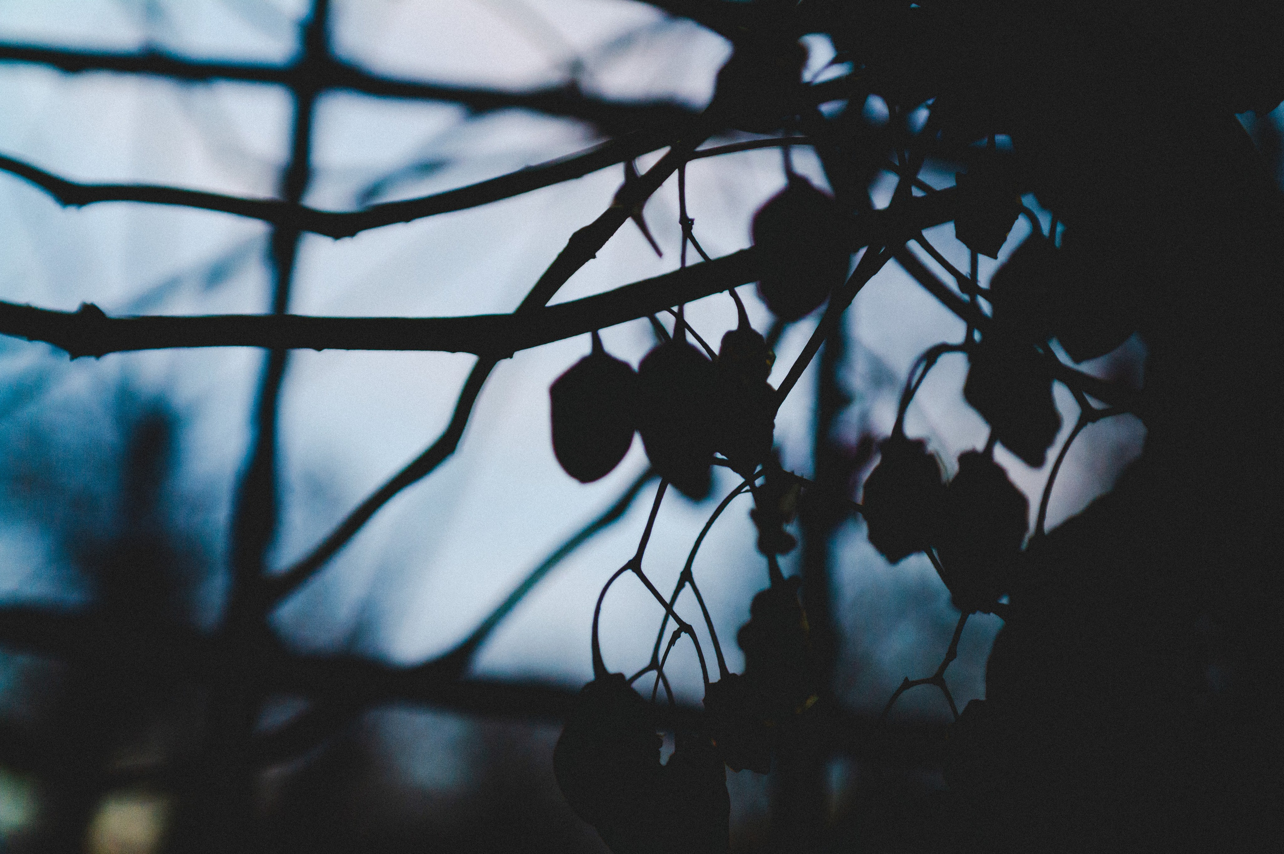 Ноябрь 2025. Den Mirov — Фотограф, Музыкант