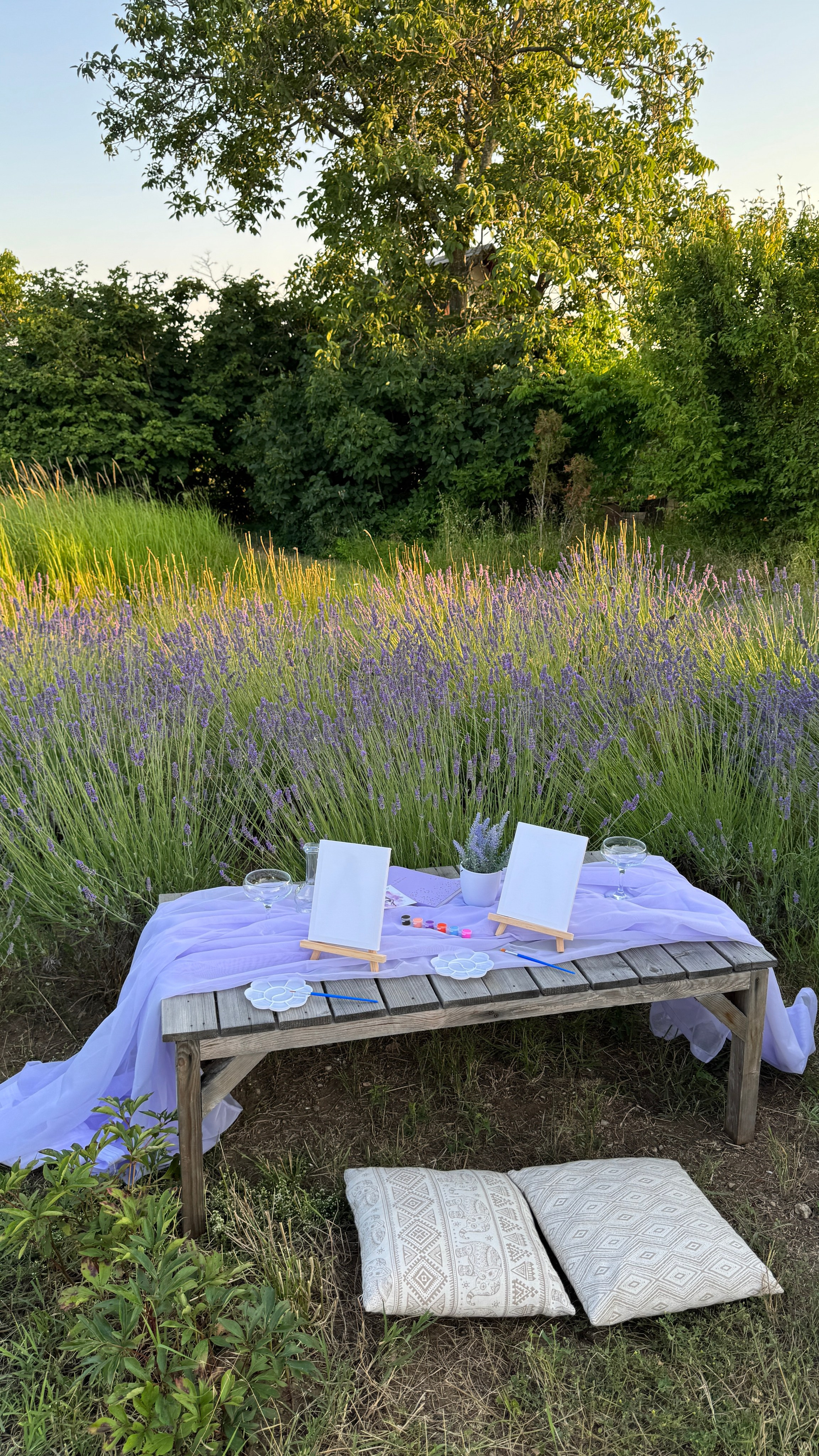 Лаванда. Фотостудия Натальи Забродской