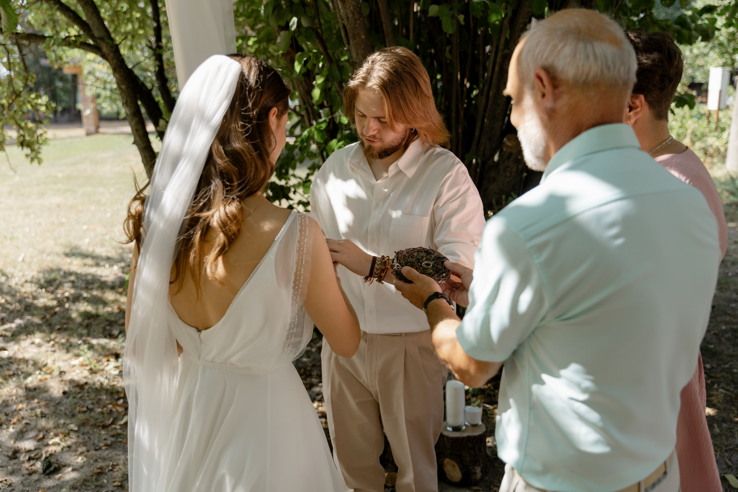 Виноградники. Dima Lemeshevsky