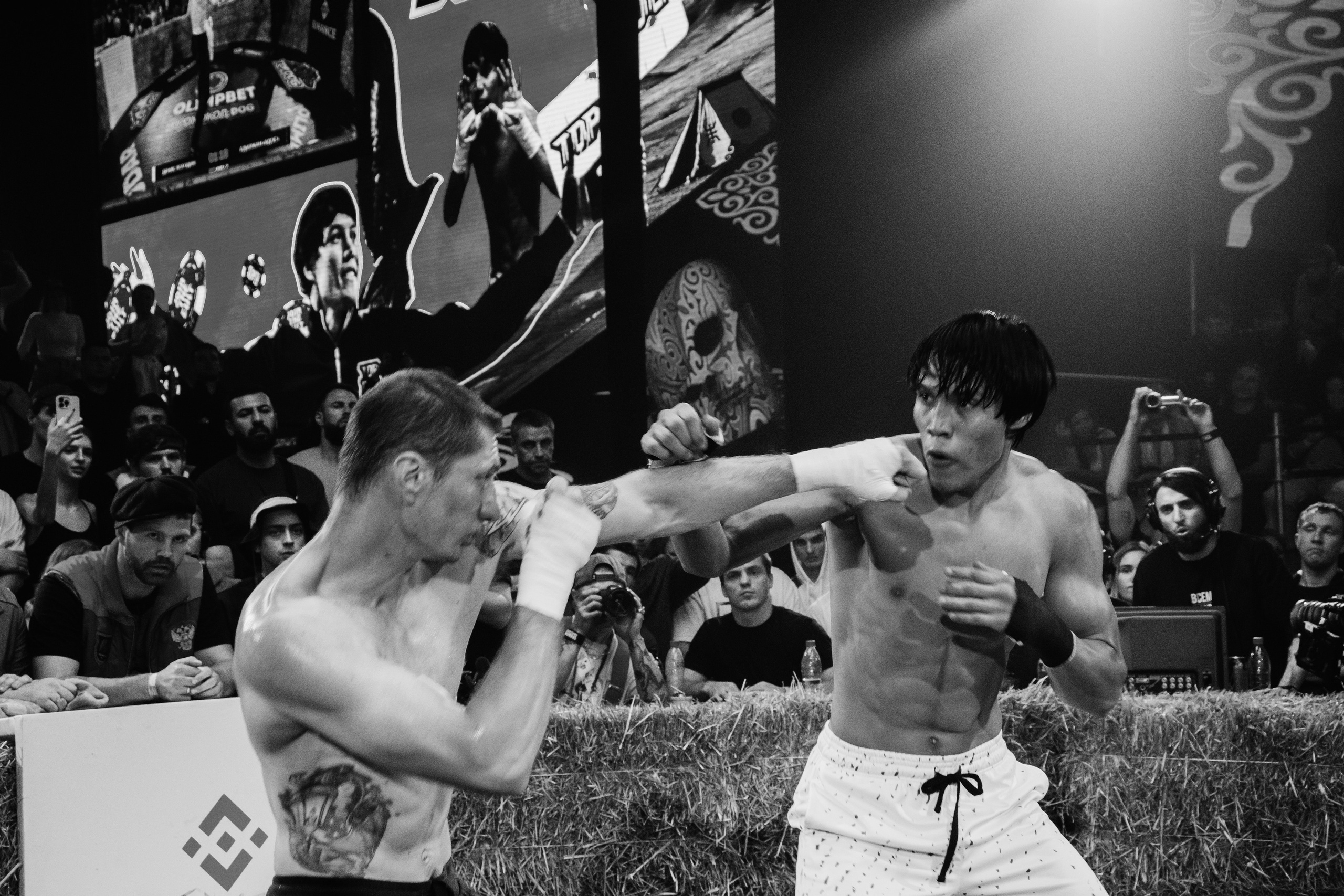 Кулачные бои TopDog. Анастасия Тен