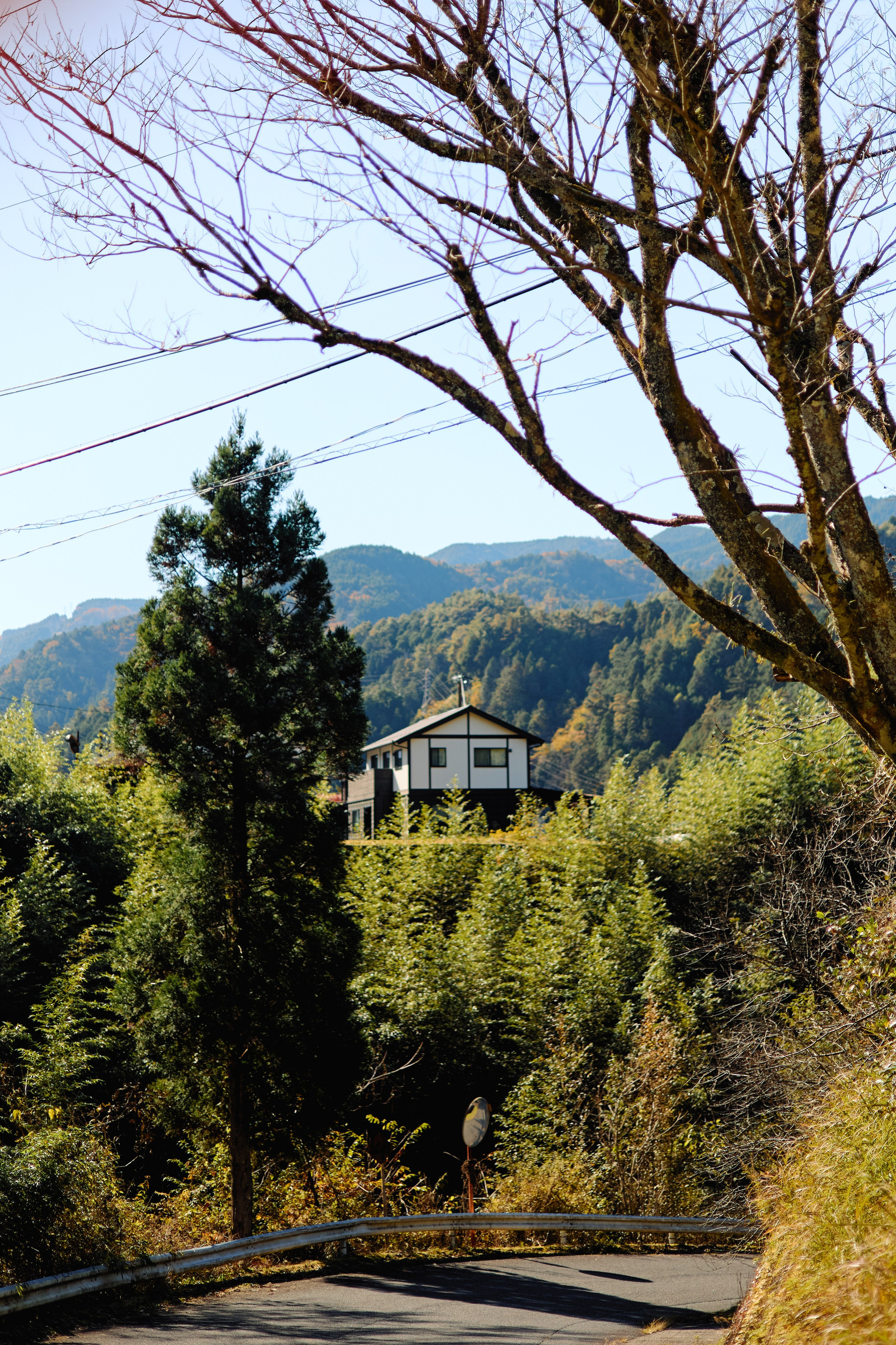 Япония. Профессиональный Фотограф во Владимире, в Москве и в Суздале — Полина Романычева
