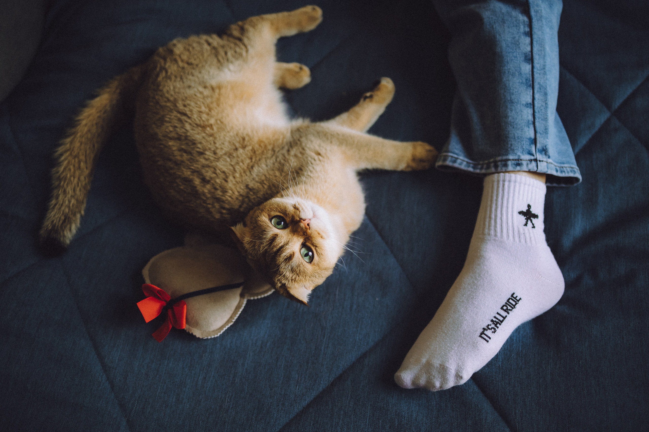 Генри и его семья