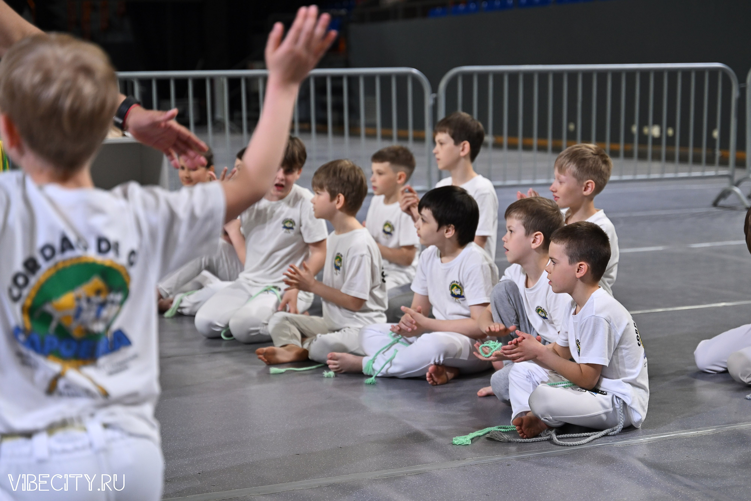 Капоэйра. Вручение поясов. VIBECITY.RU Вайб Сити Ру Фоторепортажи Фотоотчеты Калининград