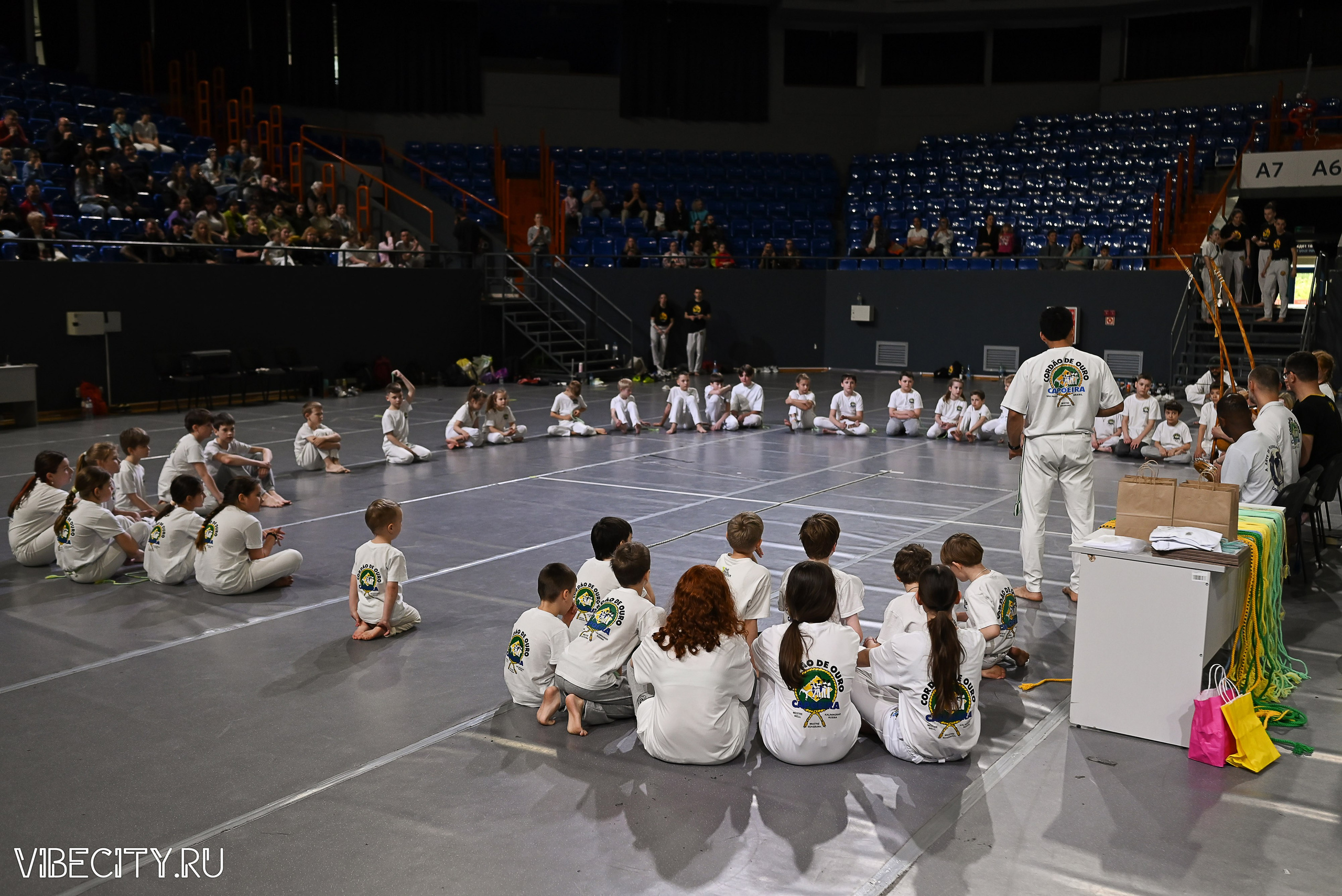 Капоэйра. Вручение поясов. VIBECITY.RU Вайб Сити Ру Фоторепортажи Фотоотчеты Калининград