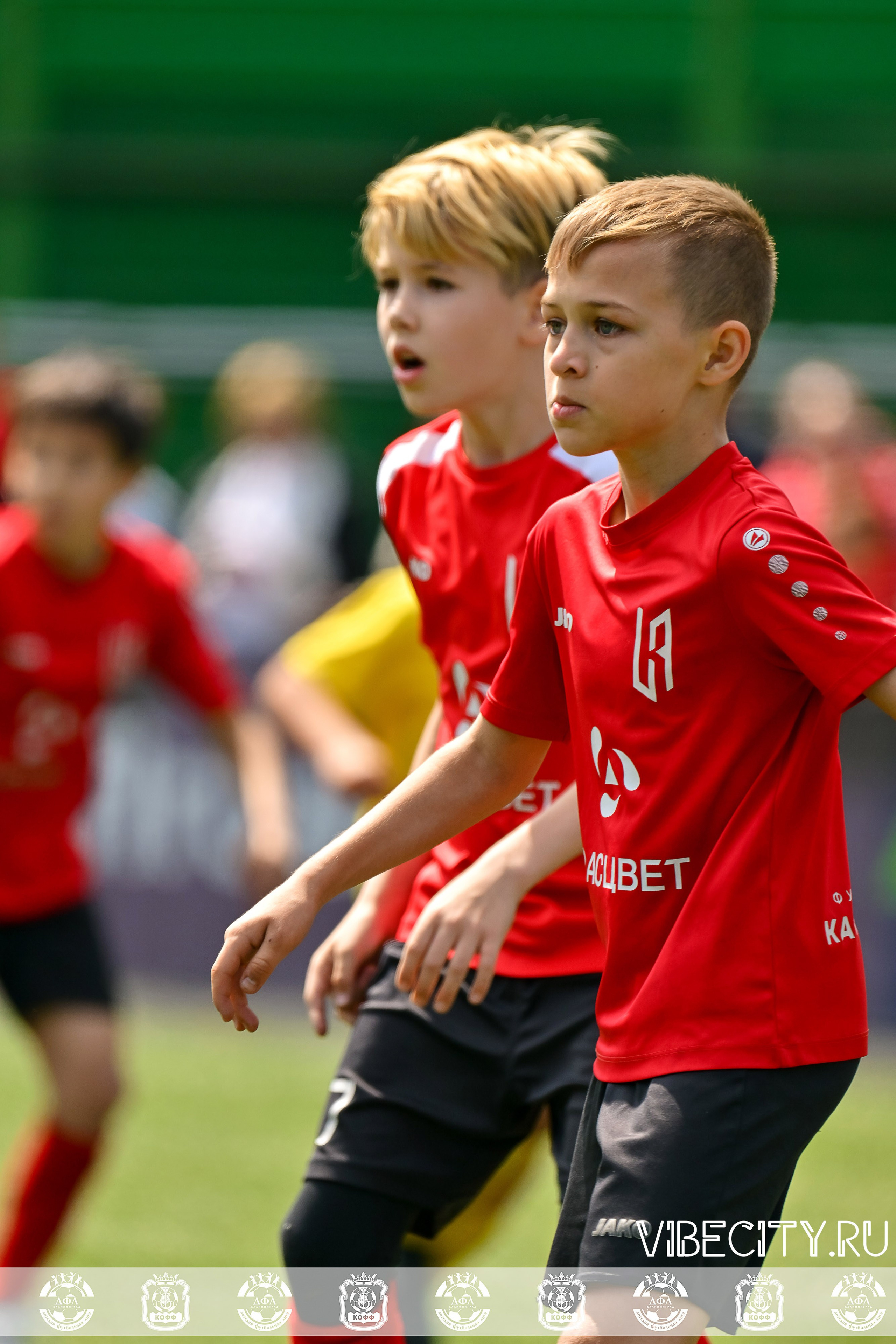 Большие Звезды светят Малым. VIBECITY.RU Вайб Сити Ру Фоторепортажи Фотоотчеты Калининград