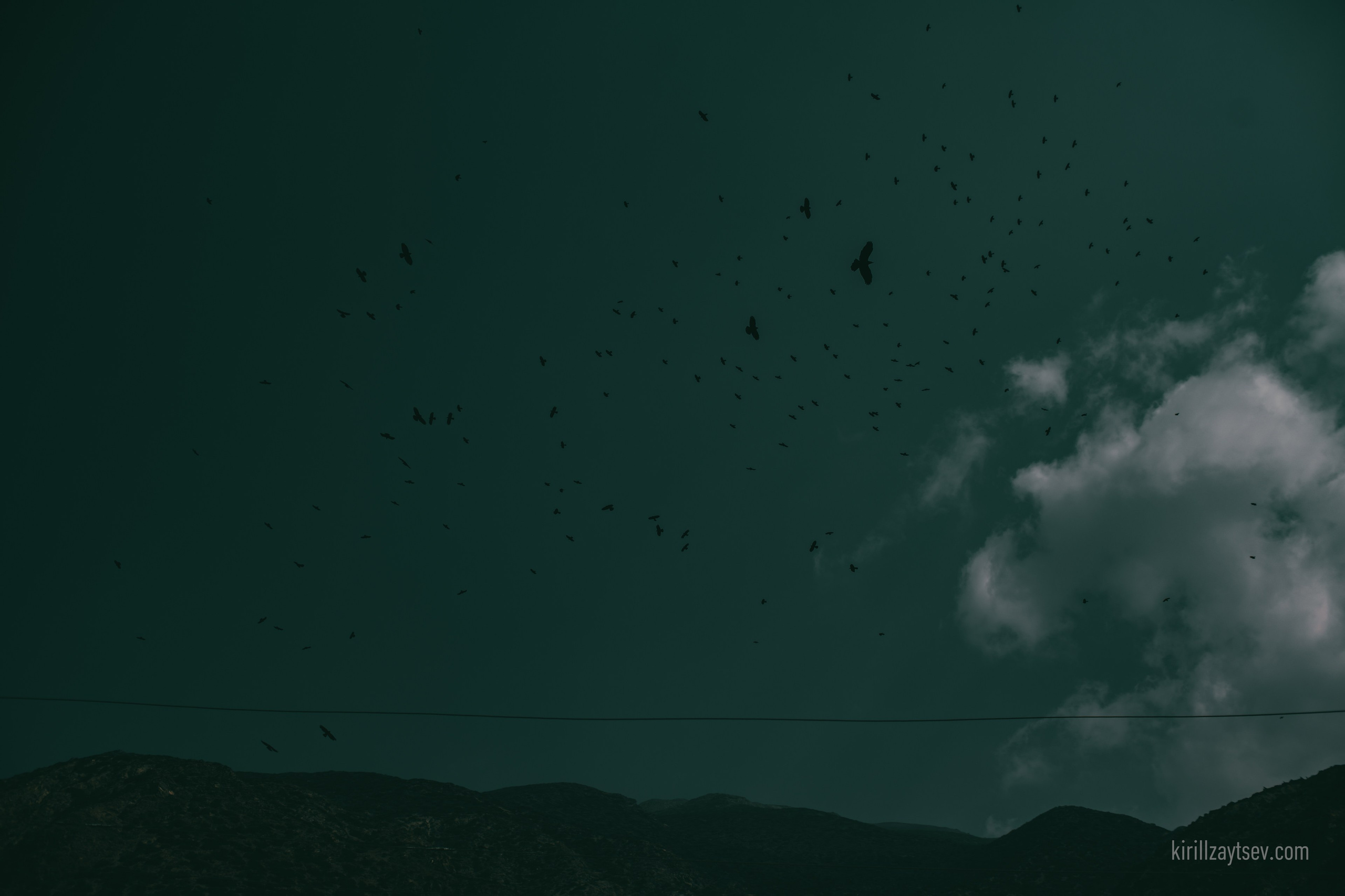 Жизнь. Профессиональный фотограф Кирилл Зайцев