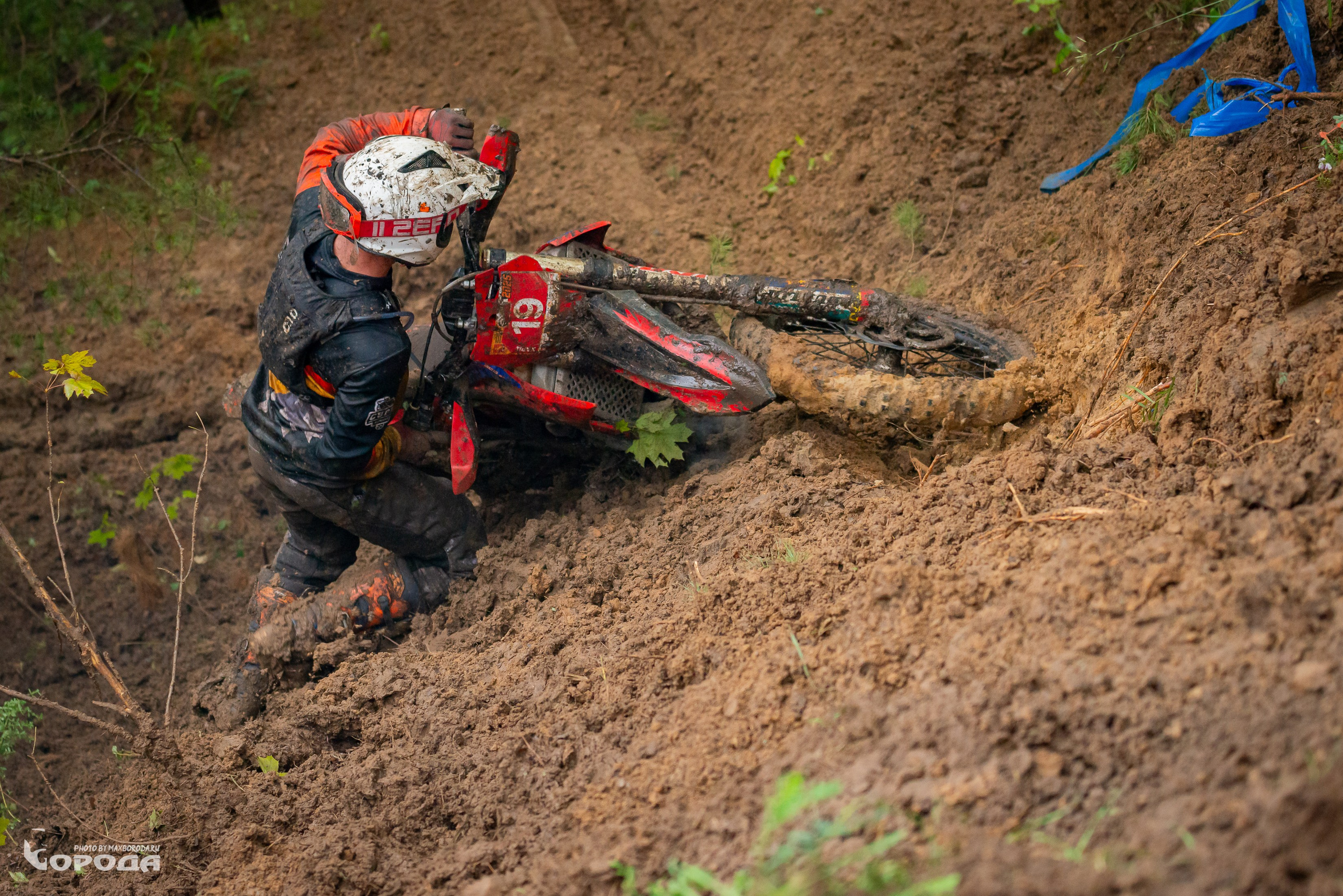 Дубрава 2025. Фотограф | Макс Борода