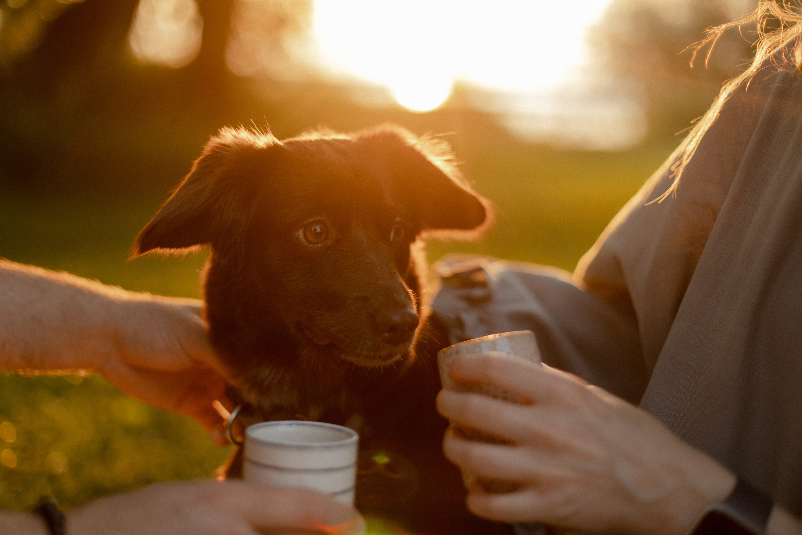 Аня и Семен. Семейный фотограф Челябинск