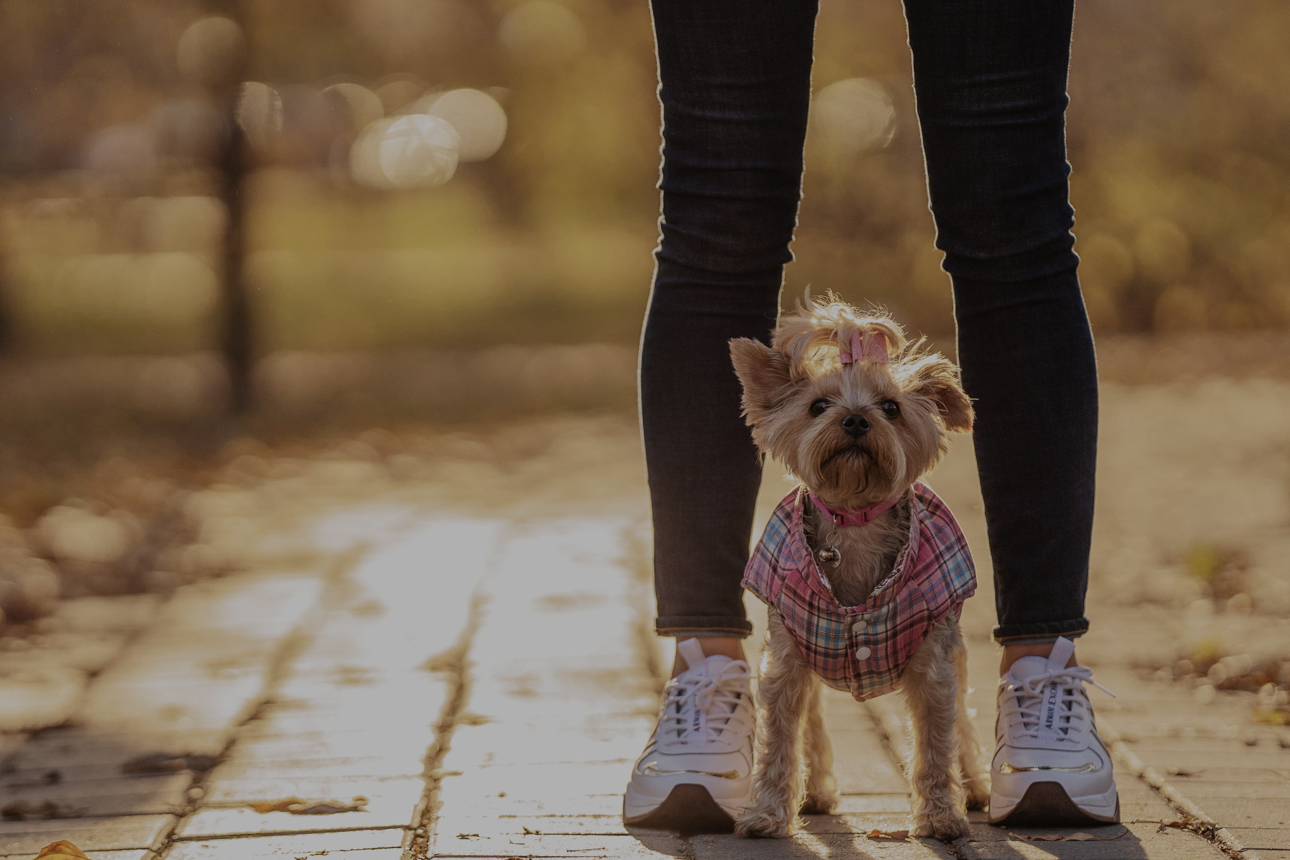 Мария + Роксана (история дружбы). Kameramotor74