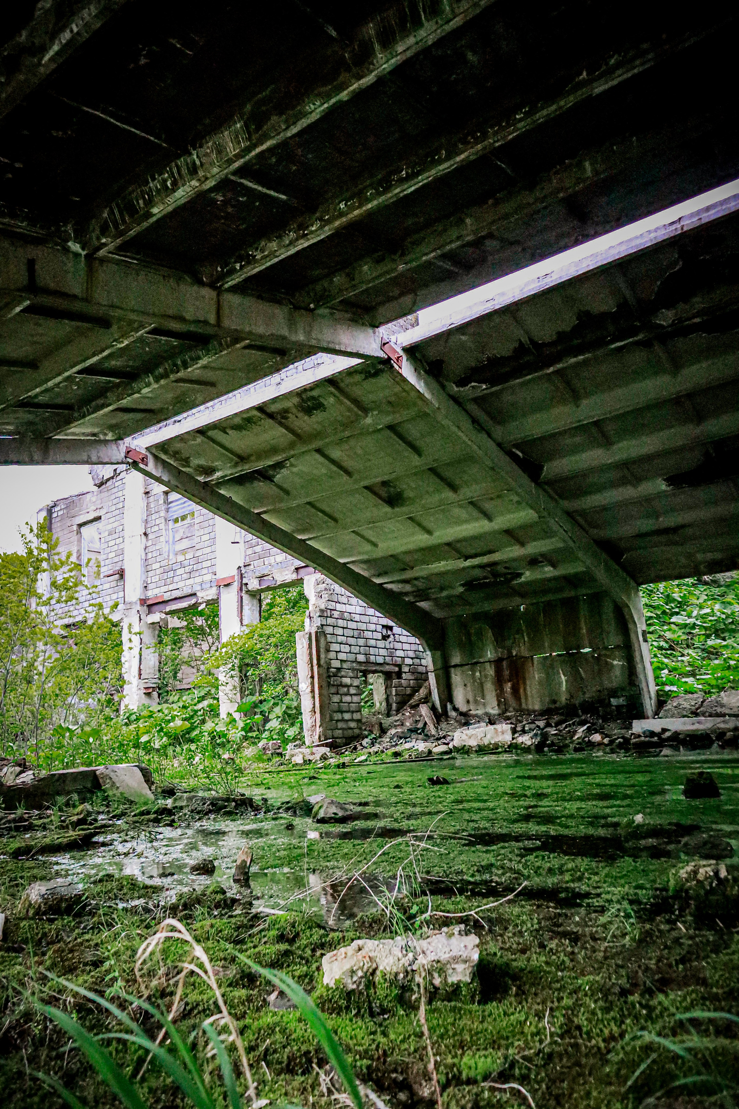 #давайубежим. Фотограф в Южно-Сахалинске Гусаков Евгений