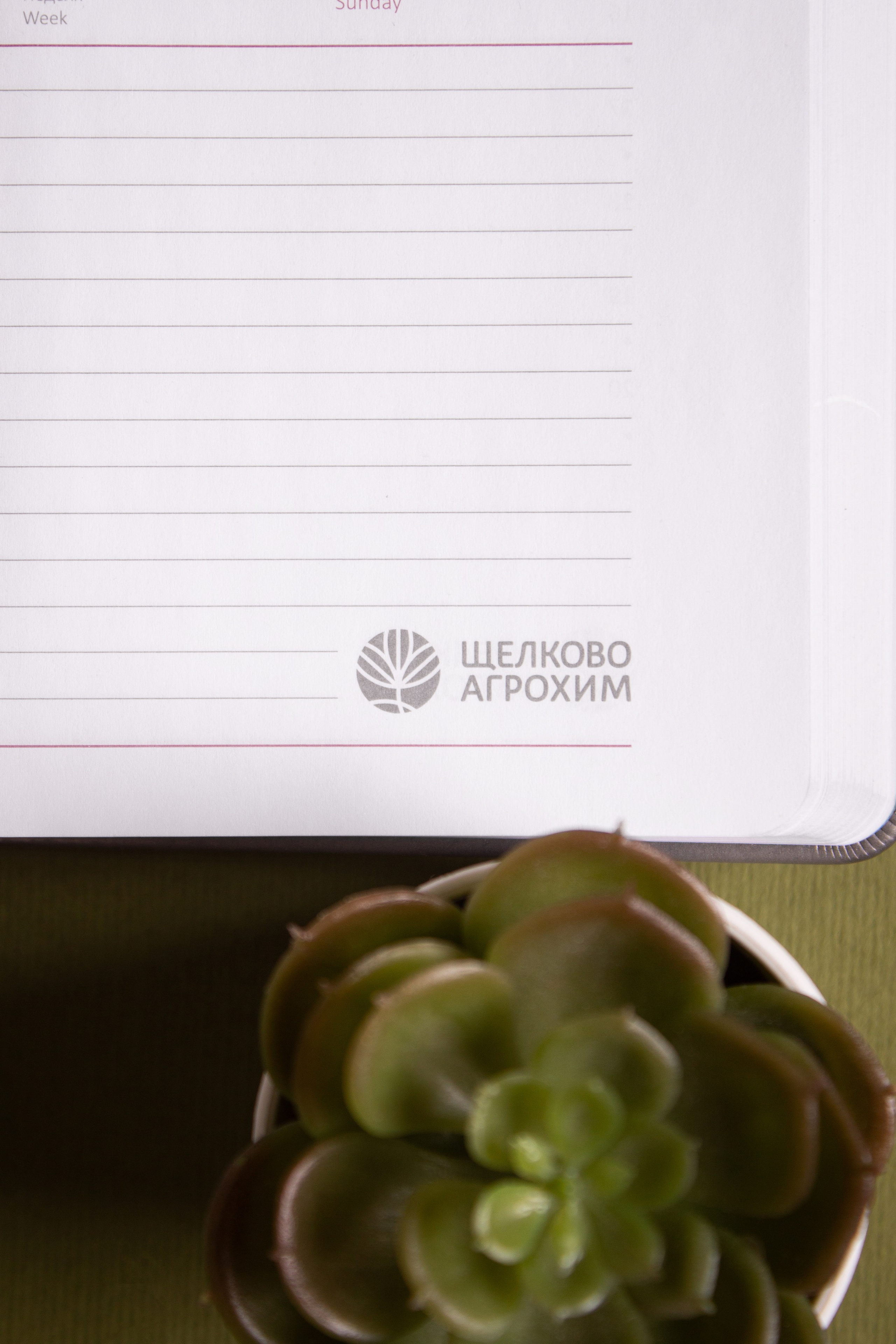 Щелково. Фуд-фотограф в Москве | Профессиональная съемка блюд и еды | Горбачёв Виталий