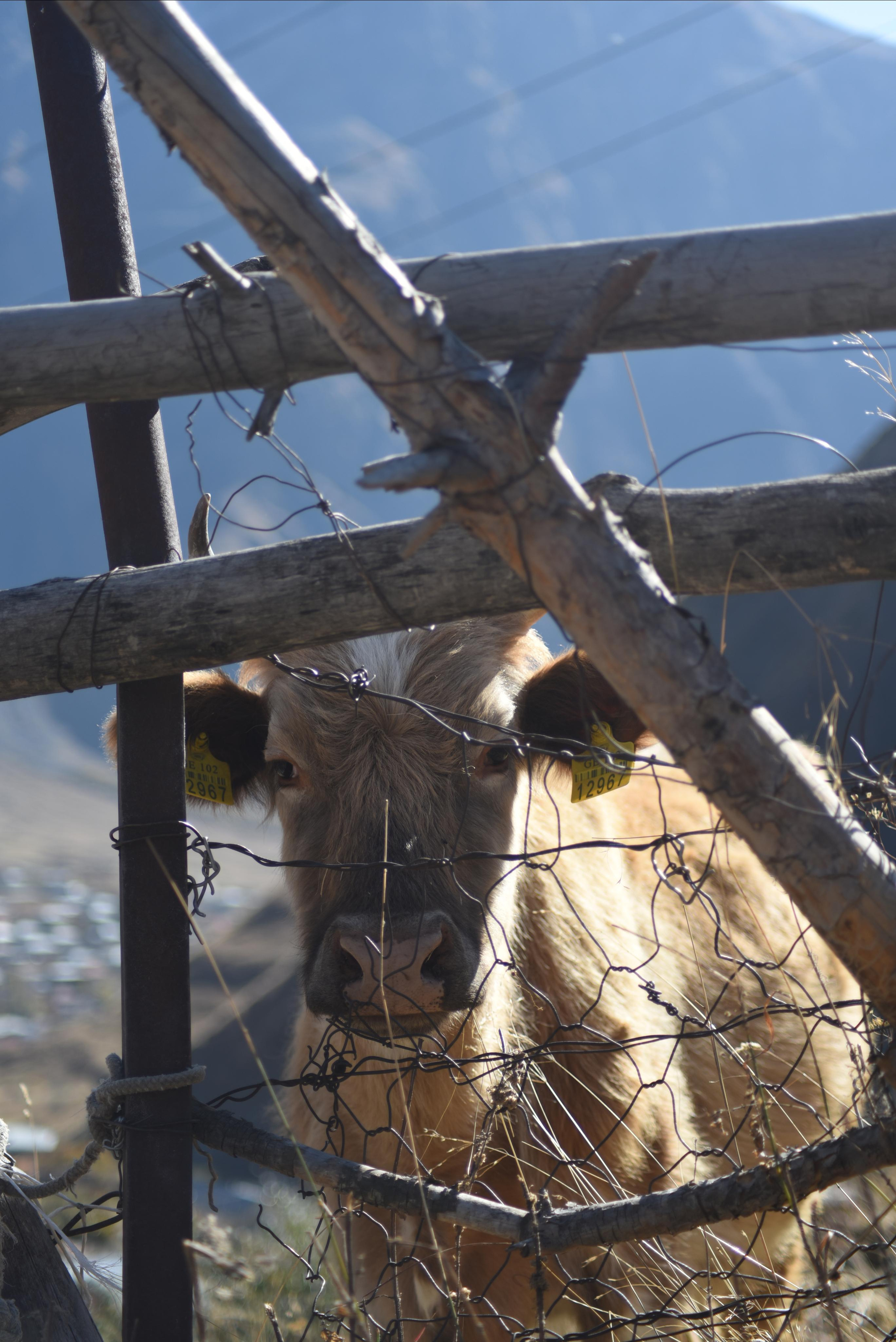 Путешествия. Документальный и портретный фотограф в Москве Мария Тарнавская