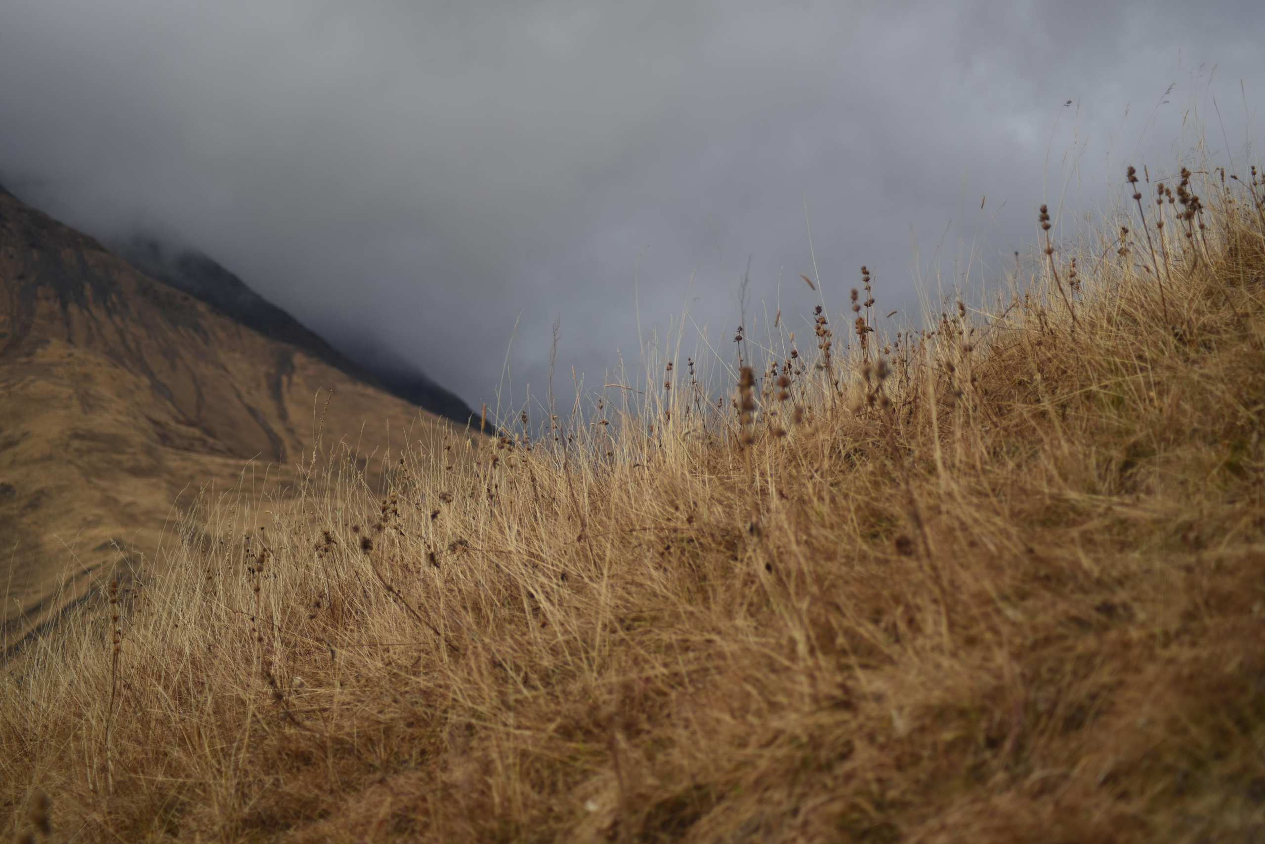 Путешествия. Документальный и портретный фотограф в Москве Мария Тарнавская