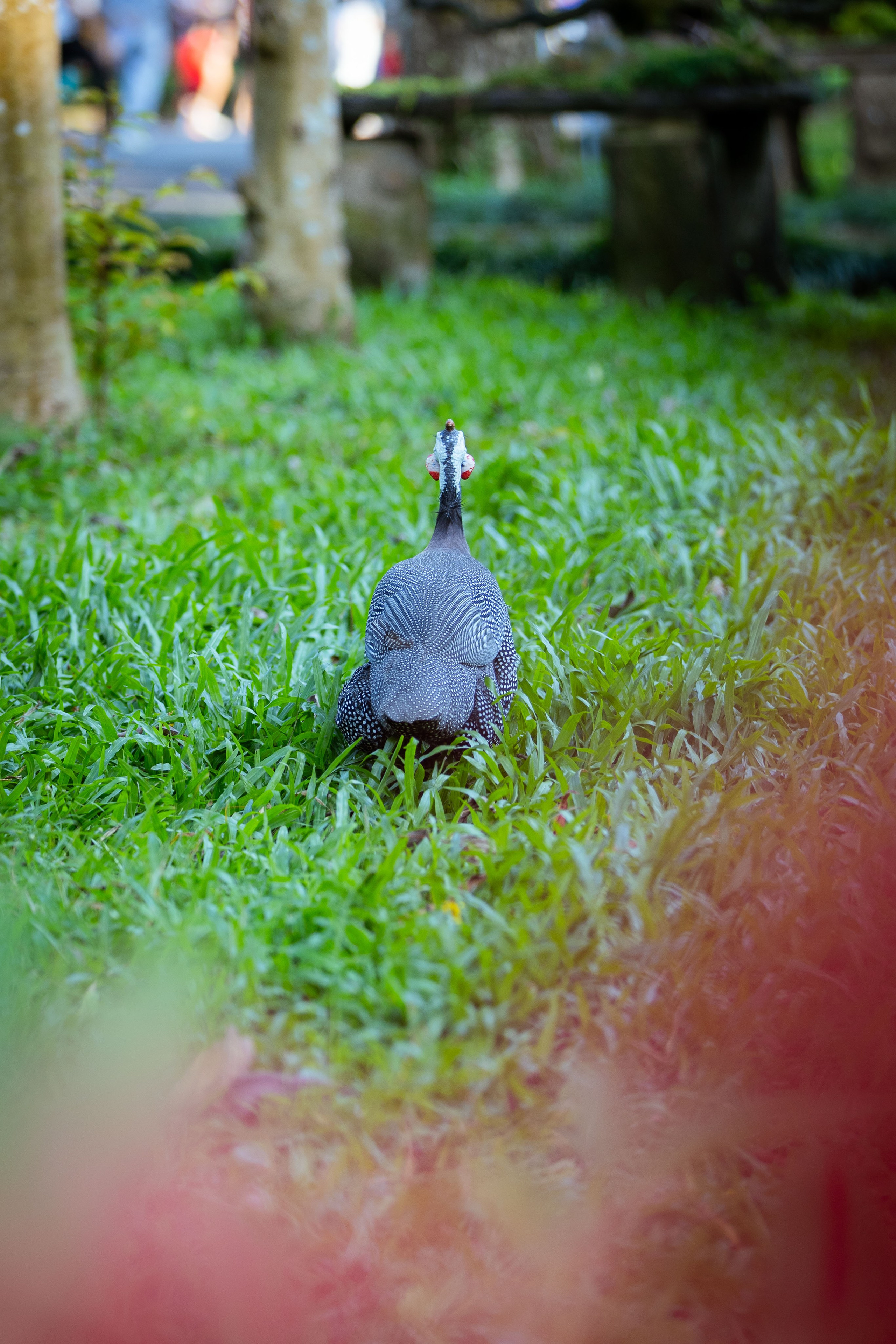 Вьетнам (зима 2025-2026). Фотограф Виноградов Константин