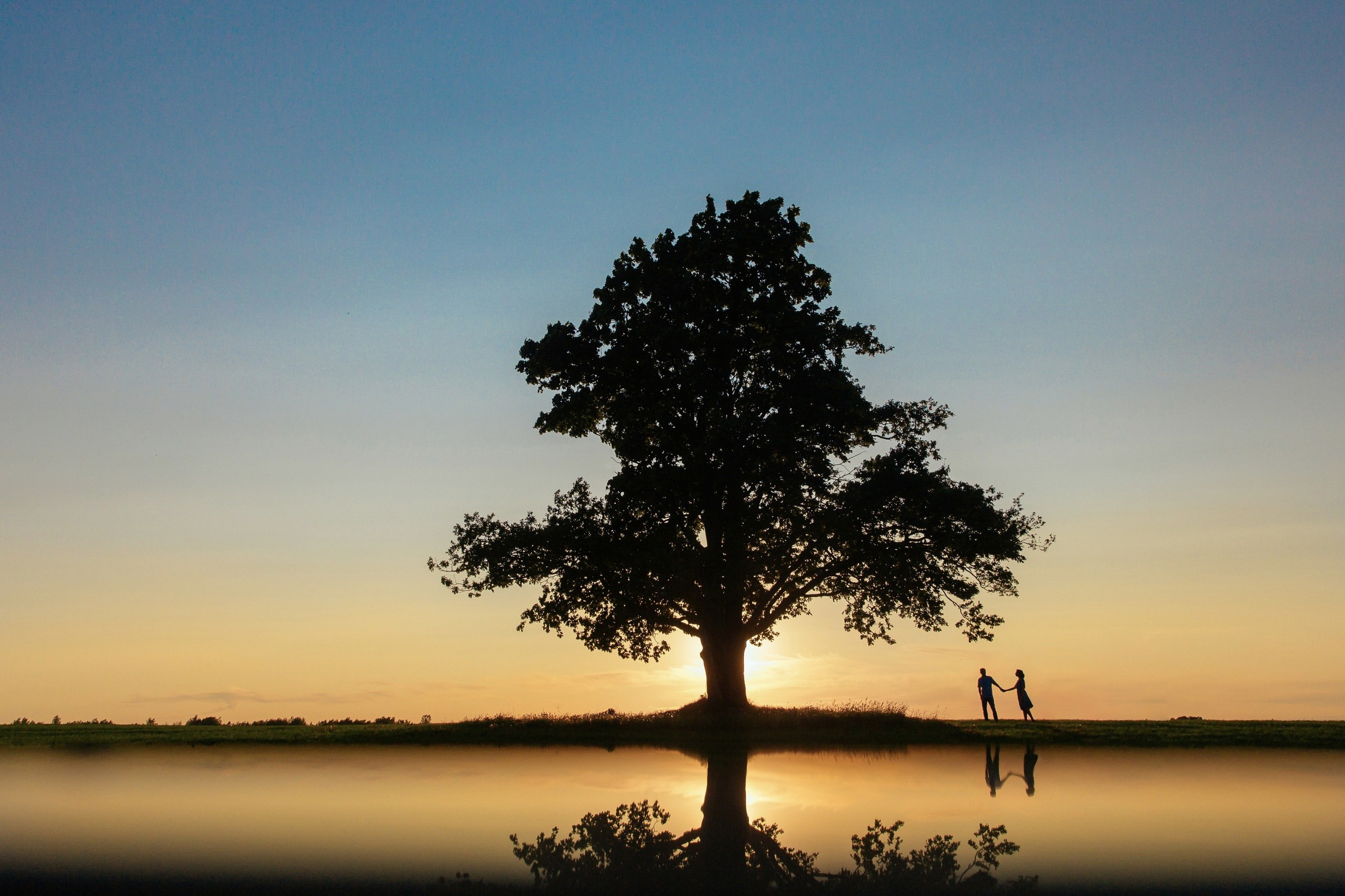 ПОРТФОЛИО. Фотограф и видеооператор (видеограф) в Евпатории и в Крыму