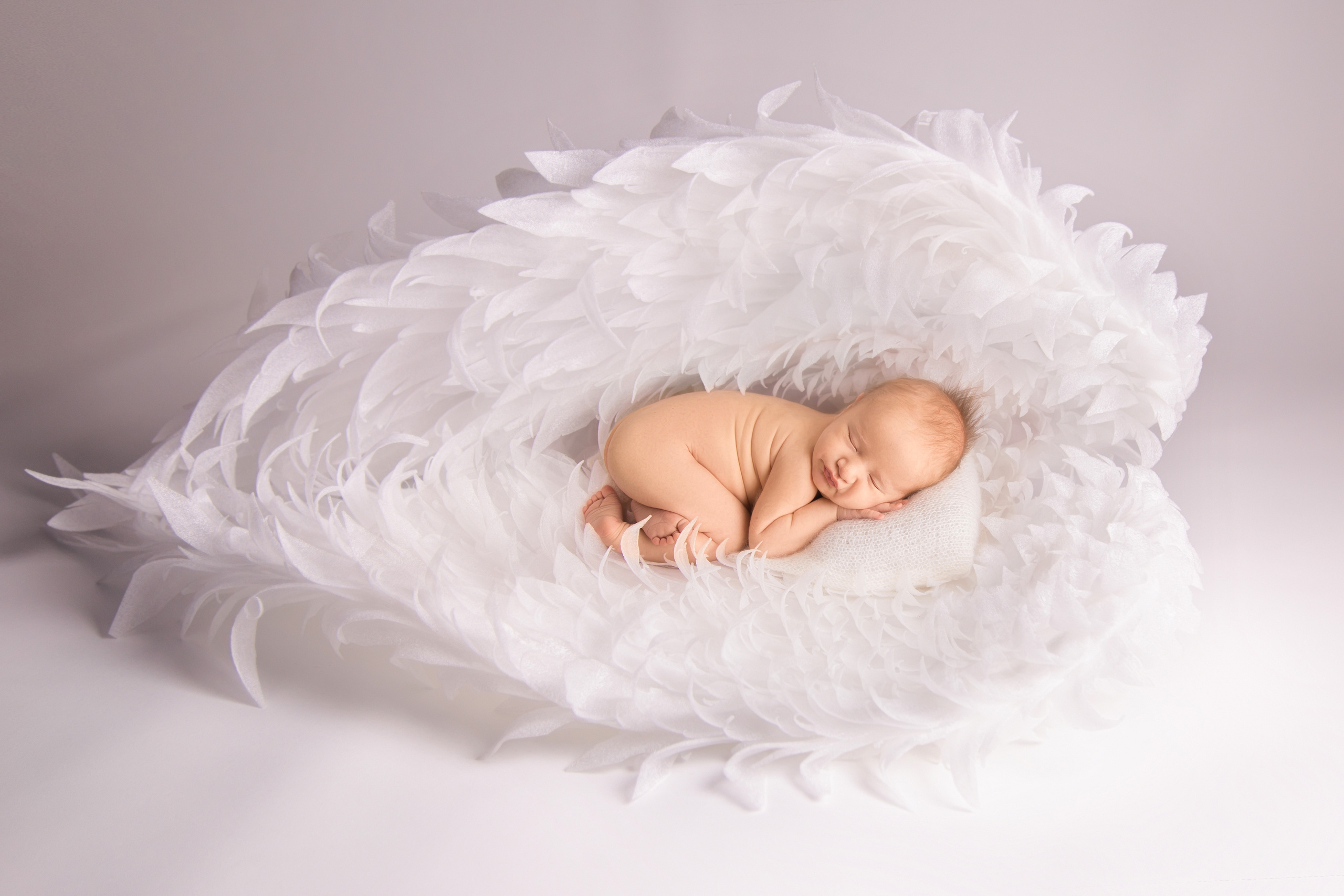 фотограф новорожденных Брянск, Newborn, лучший фотограф новорожденных в Брянске, лучший детский фотограф