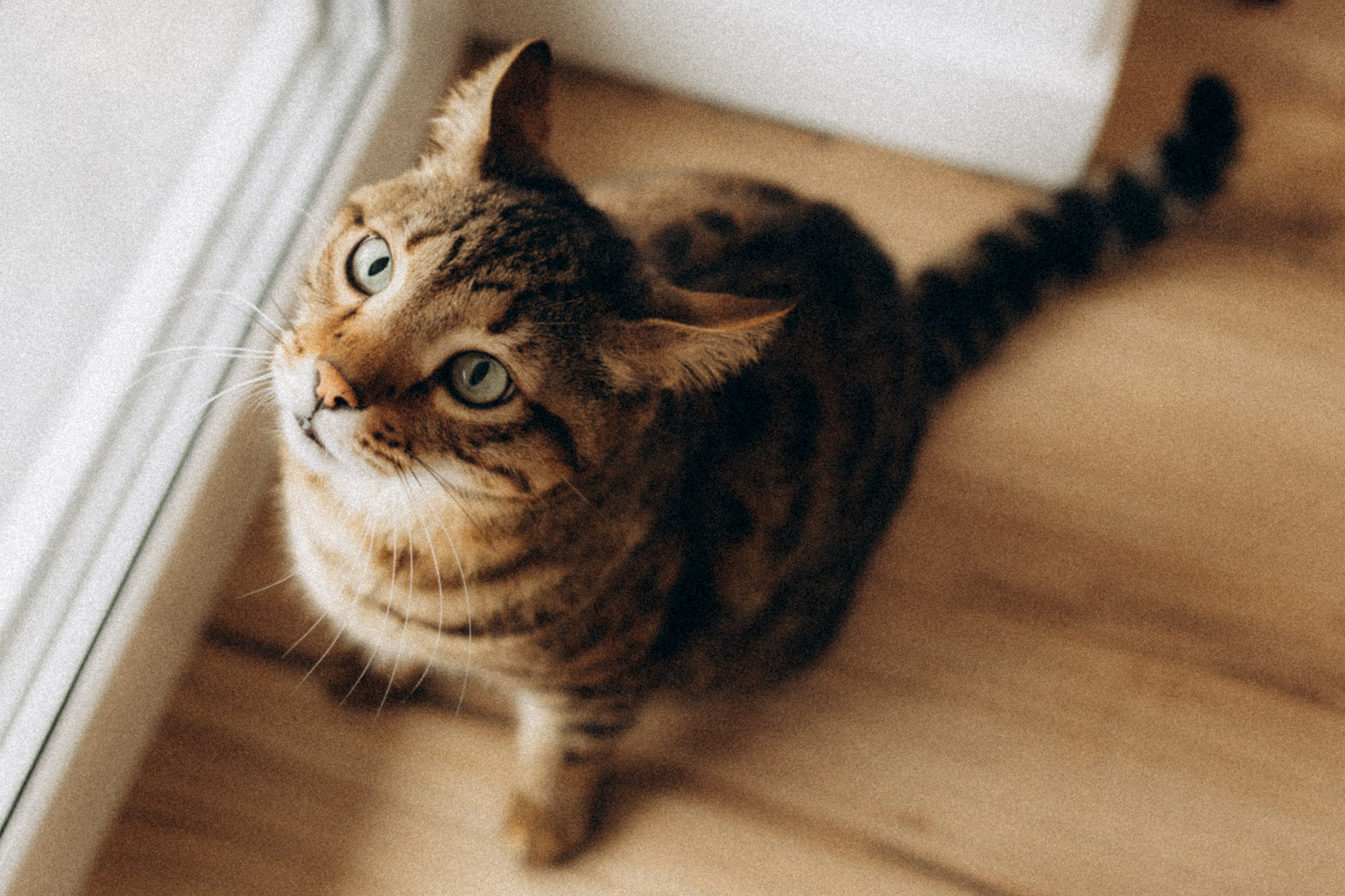 История большой семьи. Семейный фотограф lifestyle в Новосибирске Елена Шпилевая