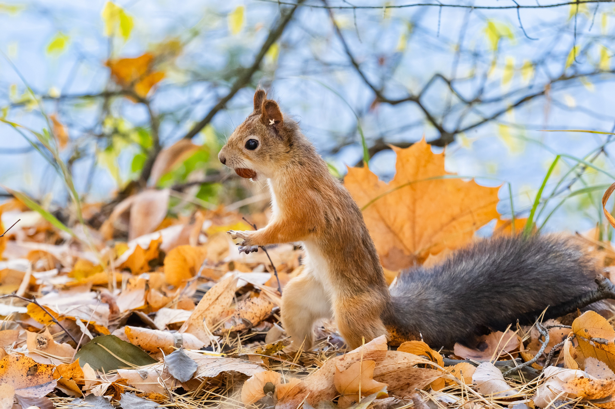 Красота Заречного. Репортажный, семейный и детский фотограф в Пензе и Заречном Арина Ермилова. Картины барельеф на заказ
