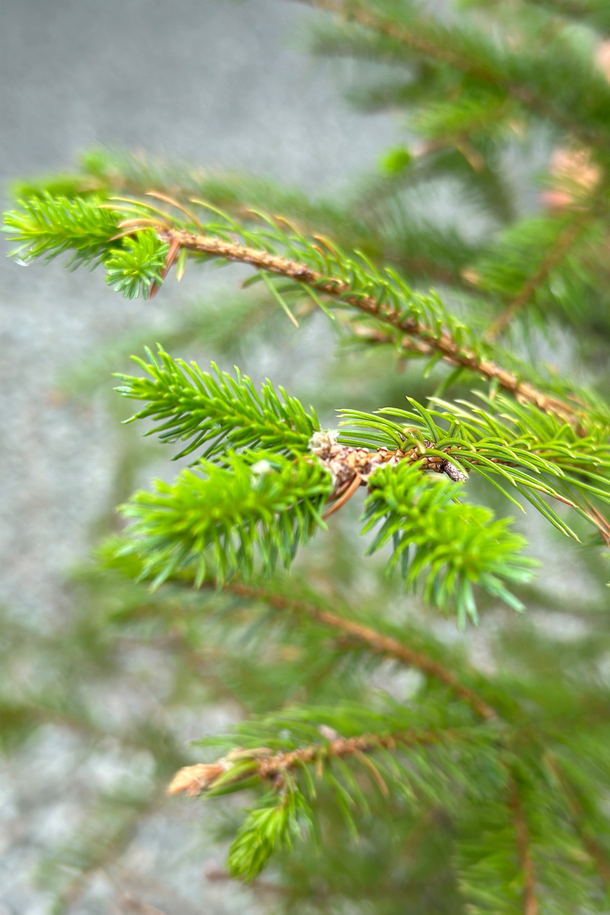 Природа. Команда фотографов Кристины Ивановой