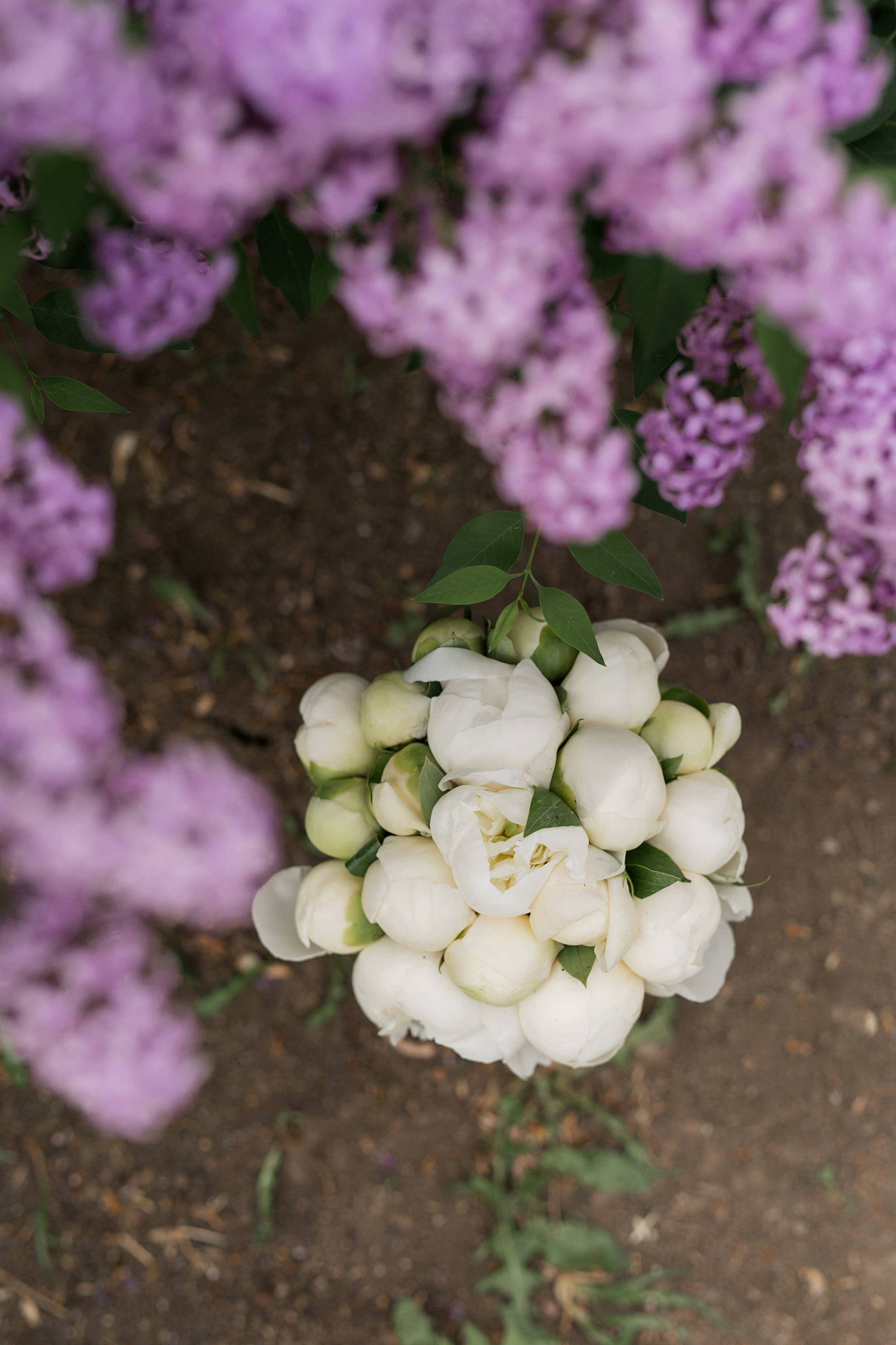 Настя и Влад. Семейный фотограф в Каневской Епифанова Ольга