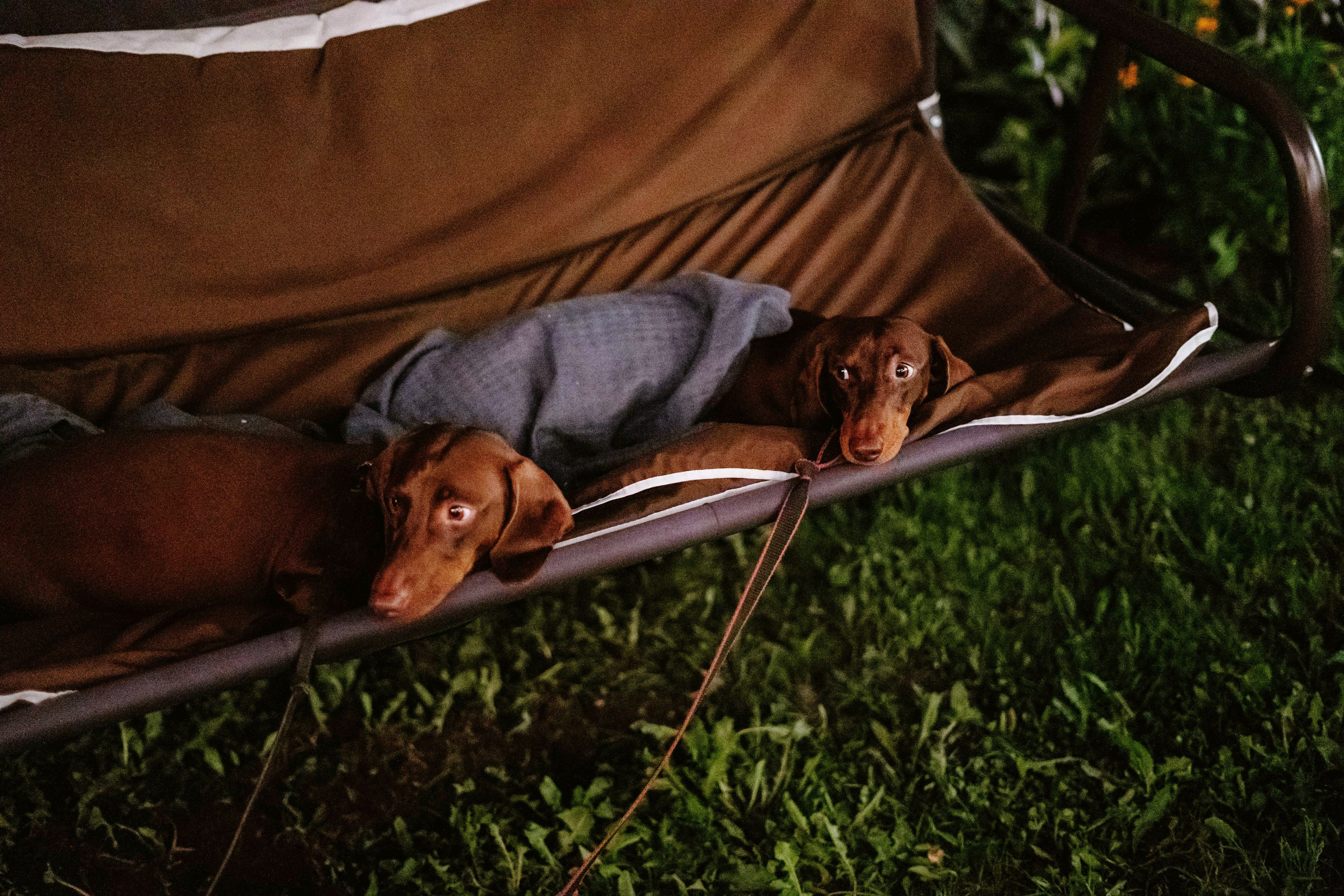 Миша и Женя. Портретный фотограф в Томске Наташа Барова
