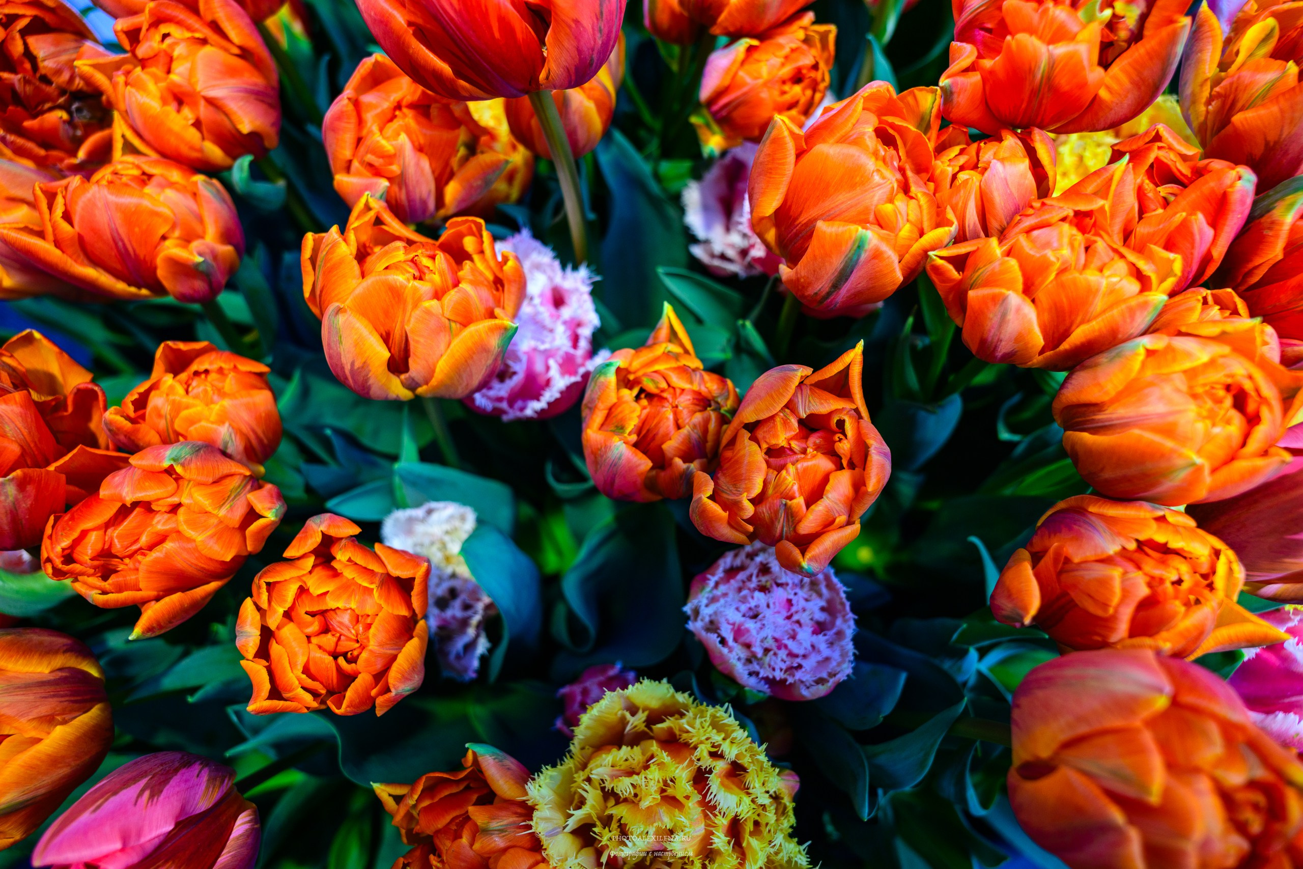 И это всё о нём. Авторские стильные фотокартины