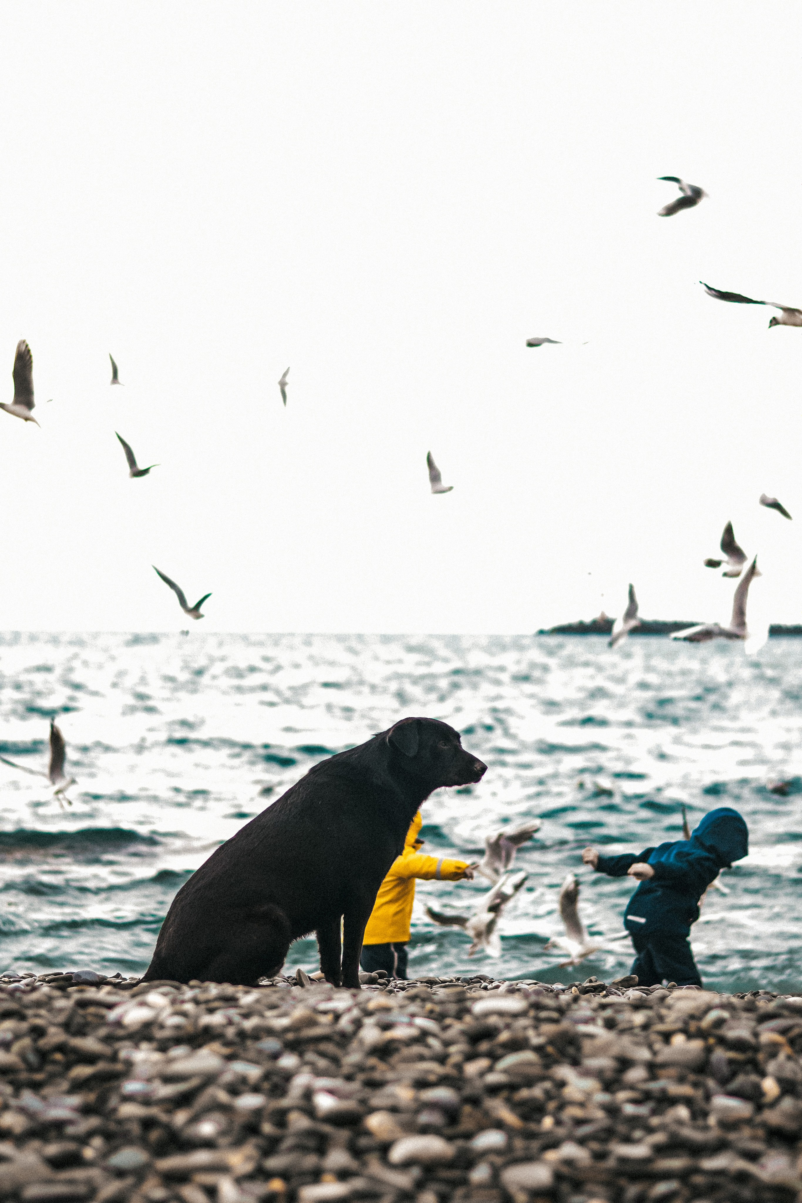 Wallpapers. Фотограф Казань