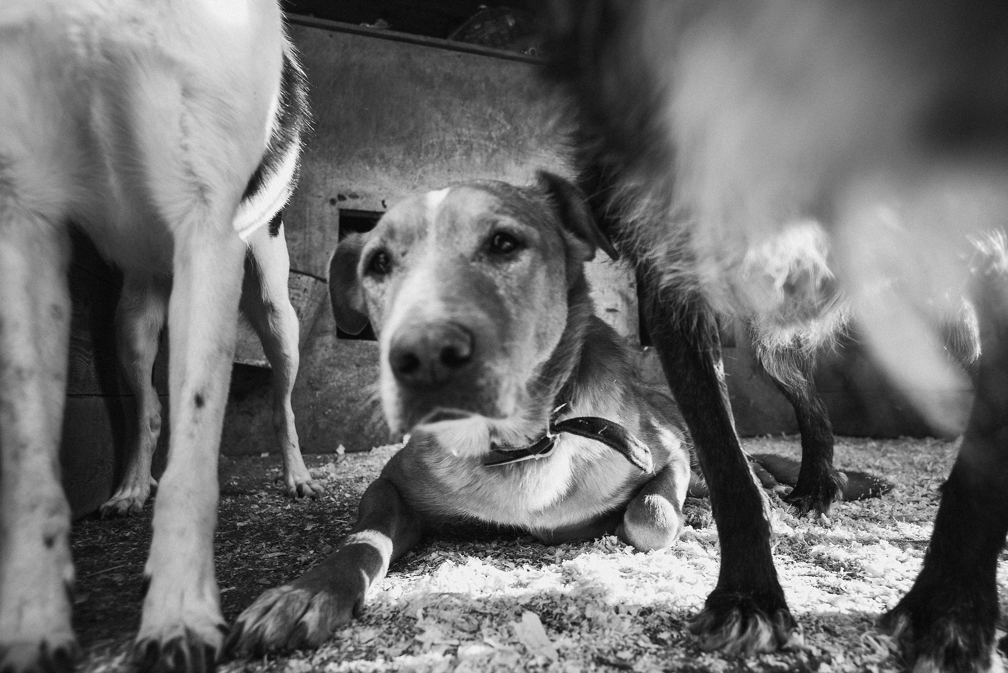 Синдром ожидания. Промышленная и репортажная фотография