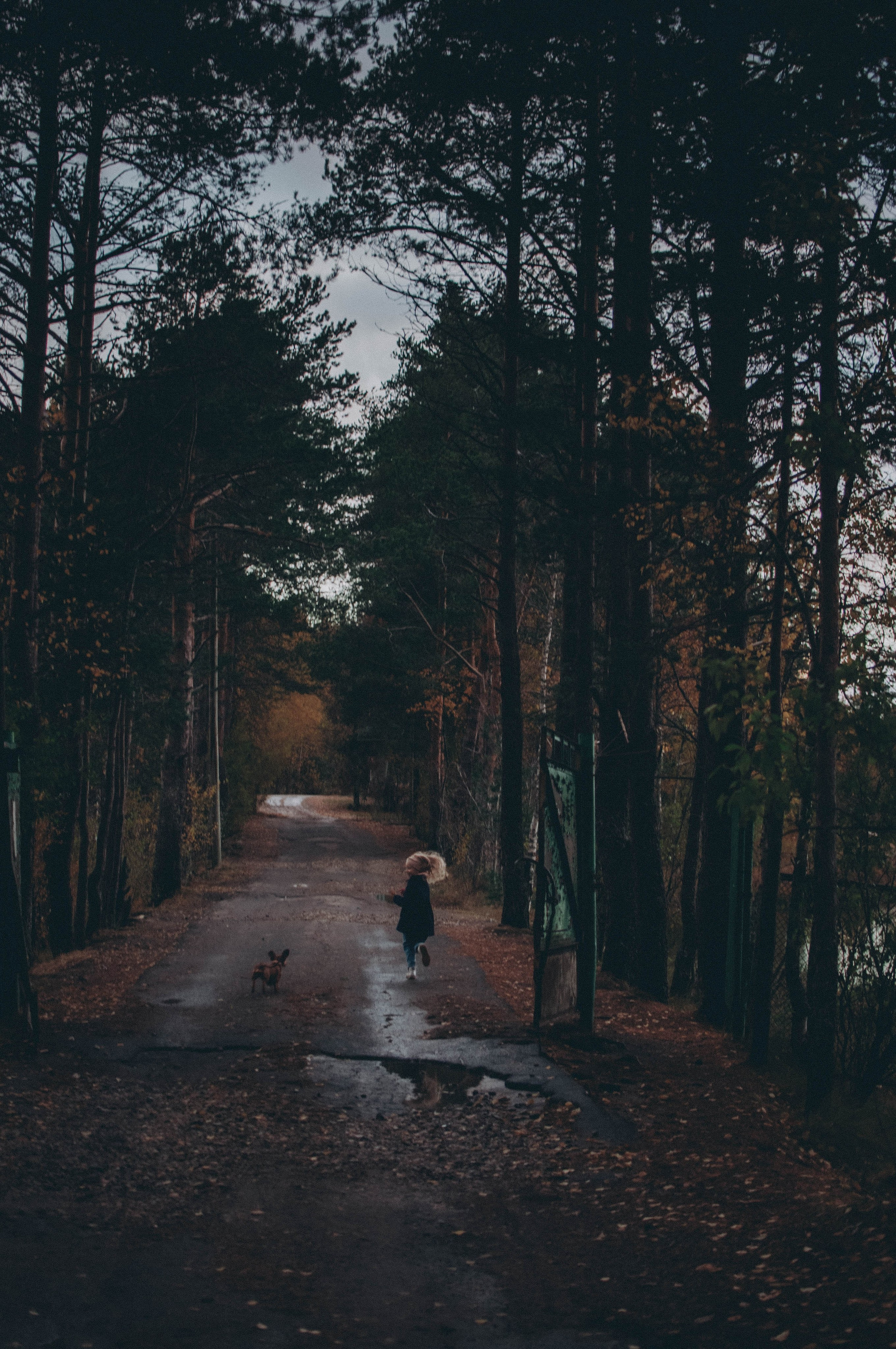 Семейный фотограф из Петрозаводска, Карелия