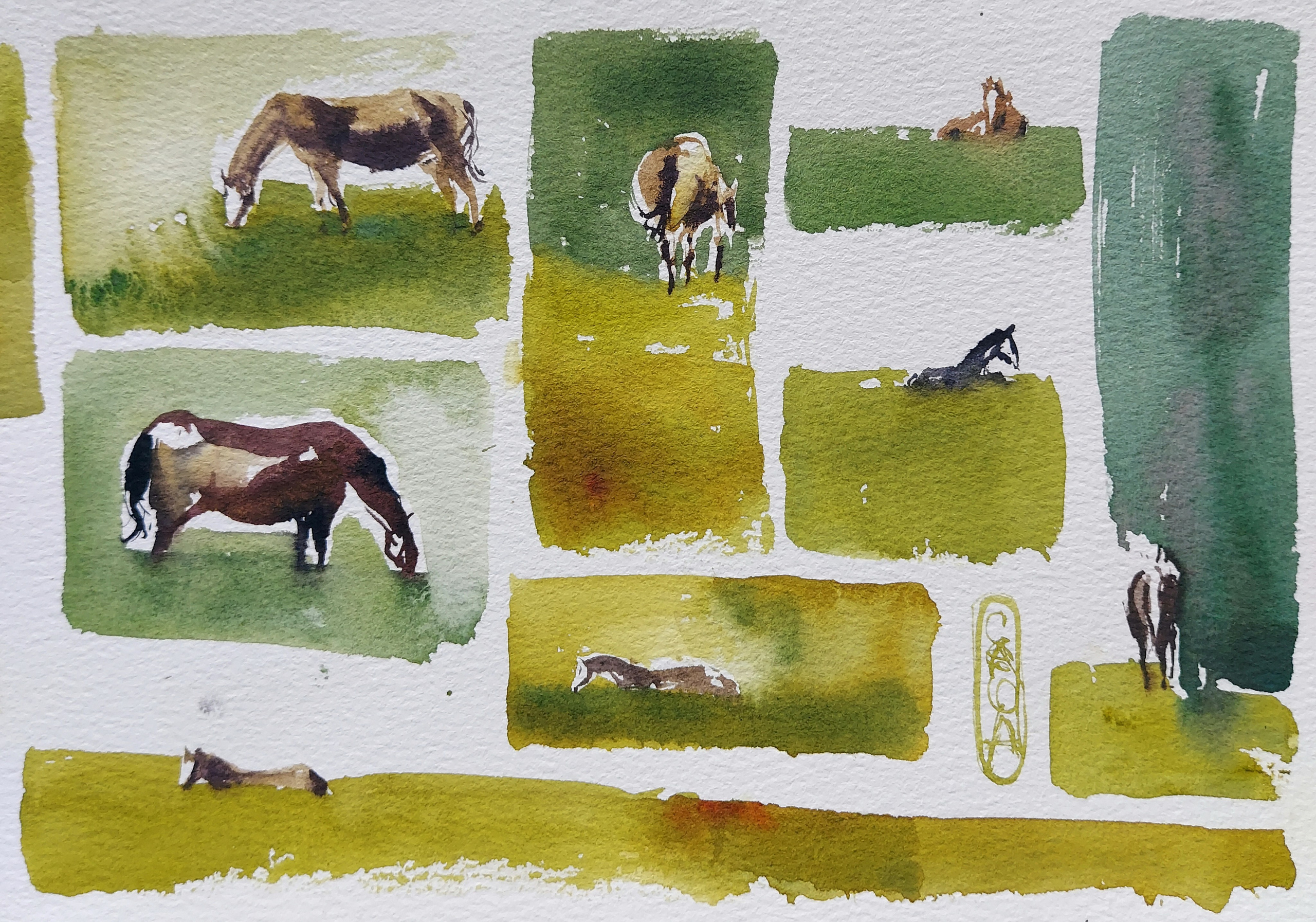 Quick sketches in Askat, Altai Mountains, Russia | August 2025 | Fragment of 11.5 x 36.5 cm (Half-A3)