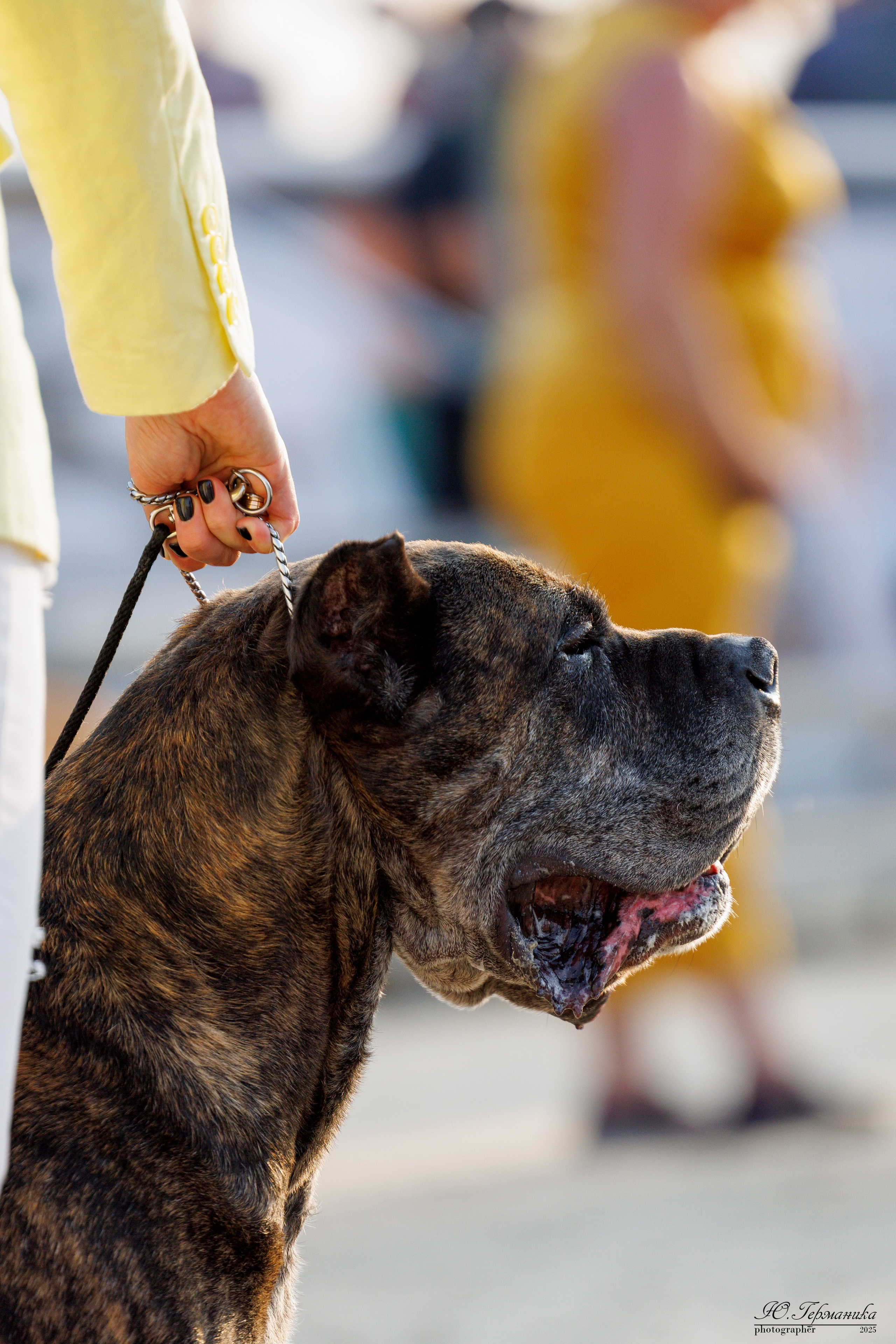 РОССИЯ 7-8.06.2025. Фотограф-анималист Юлия Германика