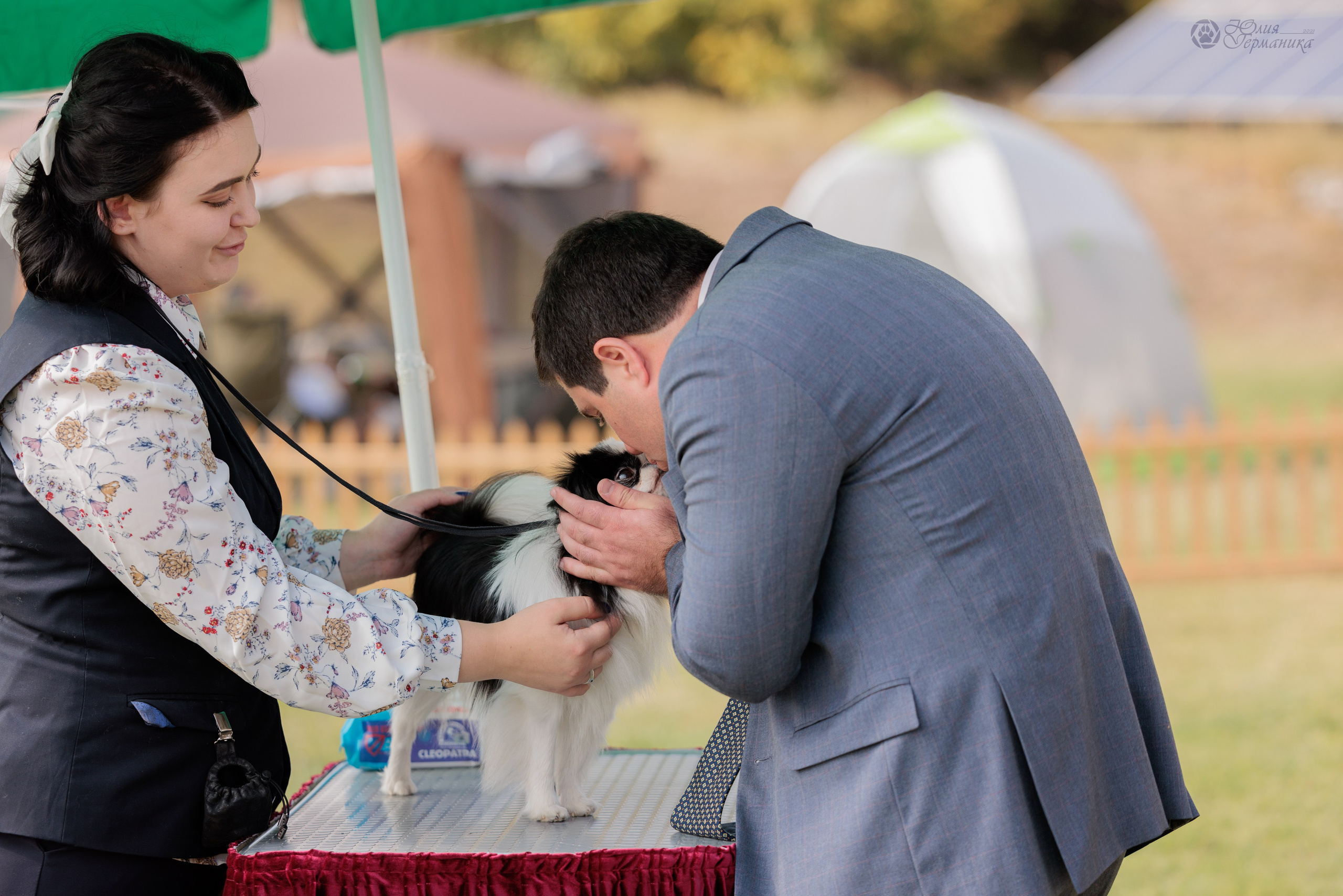 Армения,Ереван 3хCACIB 15-17.10.2024. Фотограф-анималист Юлия Германика