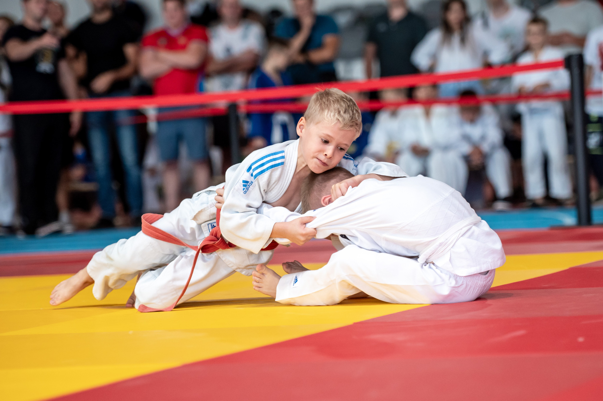 Турнир по дзюдо «Тульский левша», сентябрь 2024. Спортивный фотограф в Туле и Тульской области. Файсханова Фото Спорт