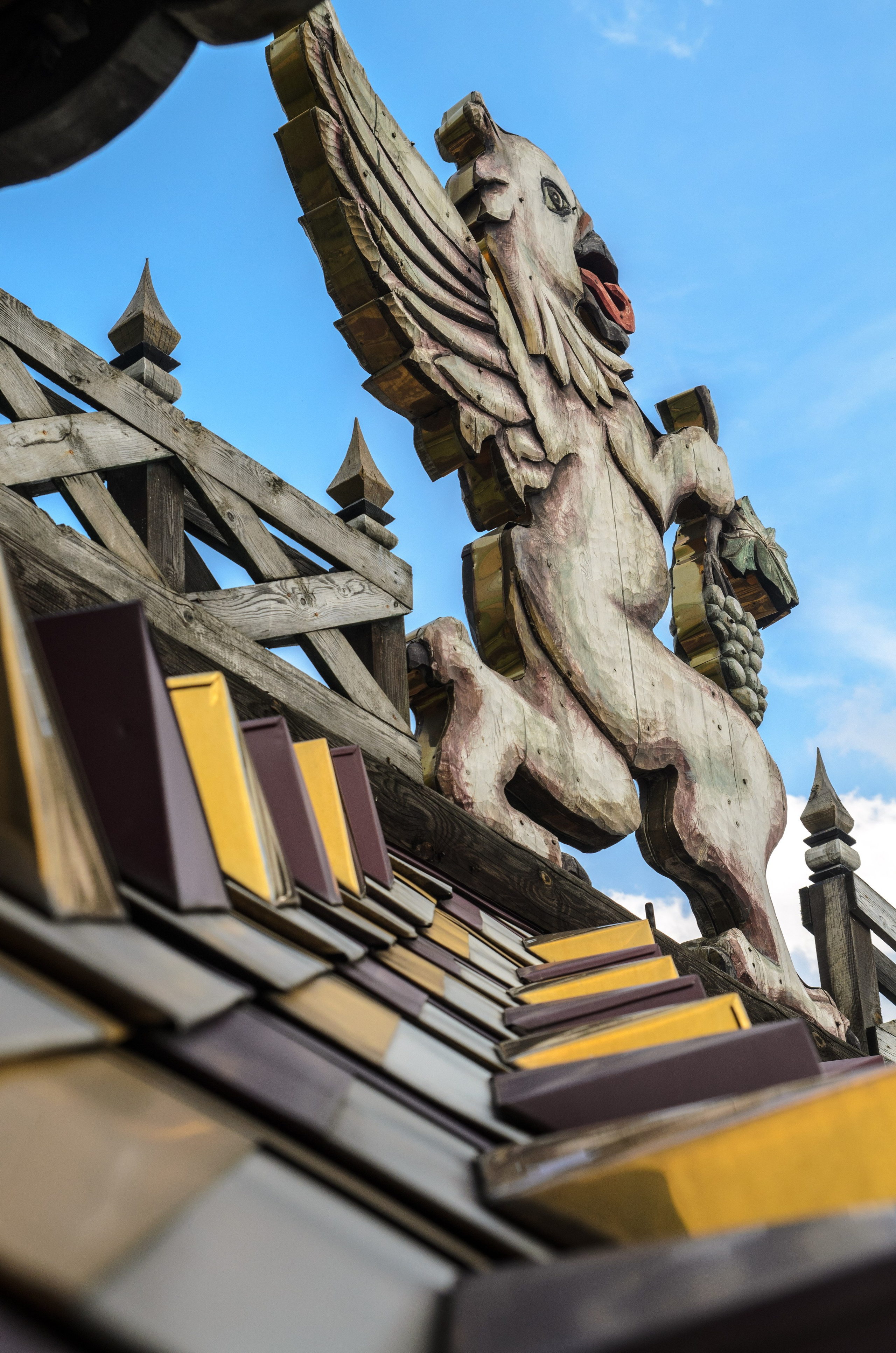 Интересное рядом. Фото, видео, монтаж