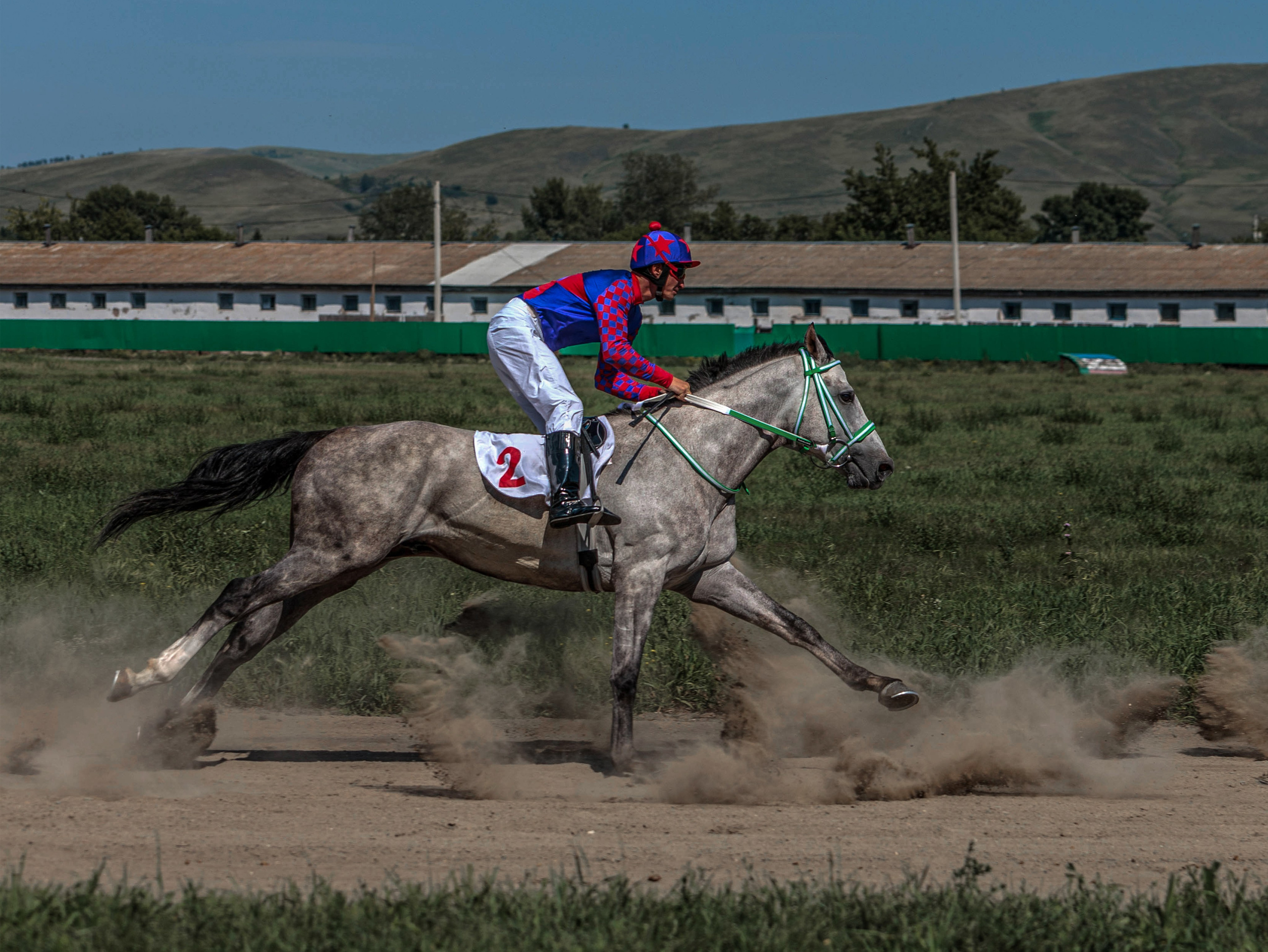 Зарисовки Абаканский ипподром 2025. Конный фотограф в Красноярске — Любовь Похабова
