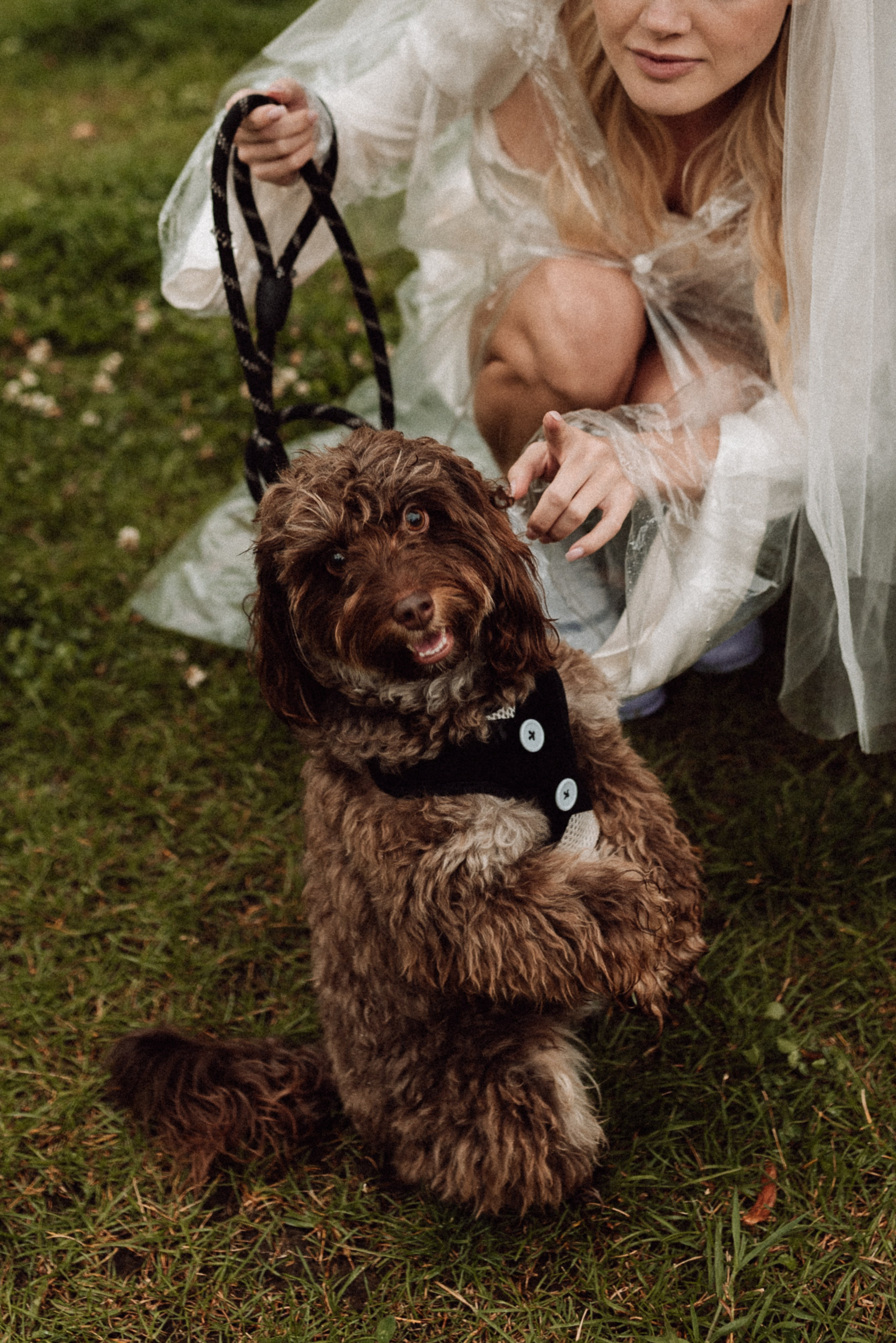 Дмитрий & Александра. Свадебный фотограф в Москве Гоцман Анастасия