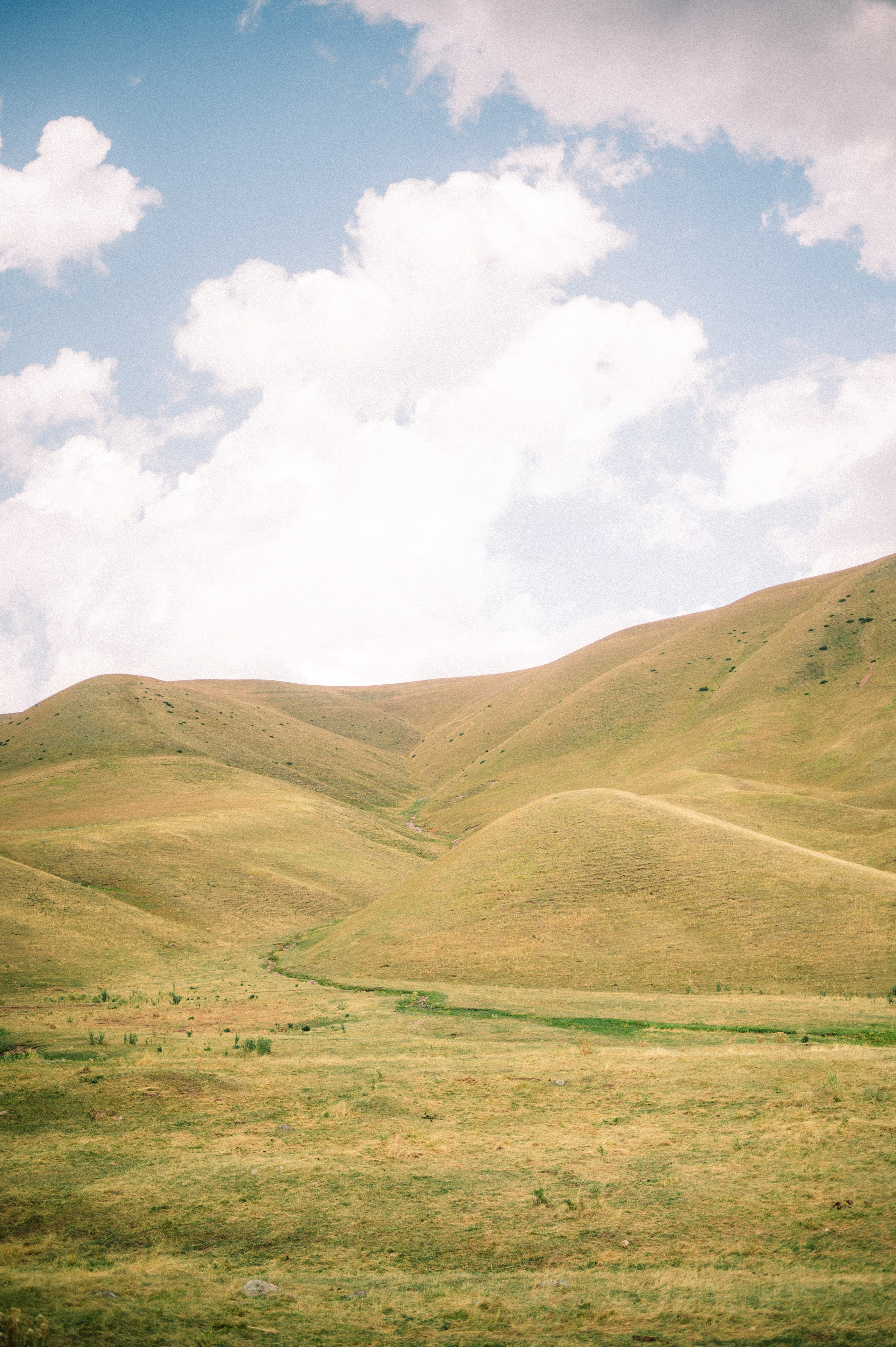 Плато Ассы: июль 2025. Фотограф в Алматы — Дарья Фёдорова