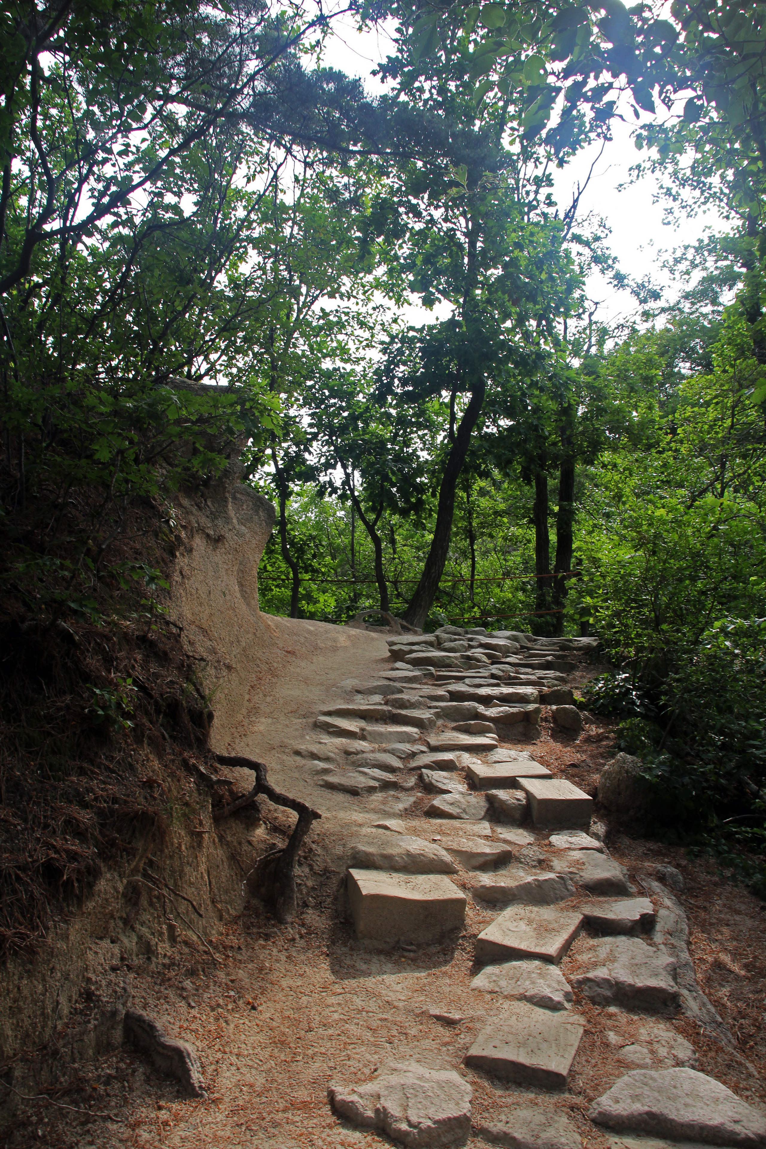Южная Корея — Сеул. Фотограф Алексей Федорищев